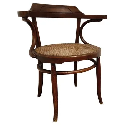 Brown Bentwood Armchair