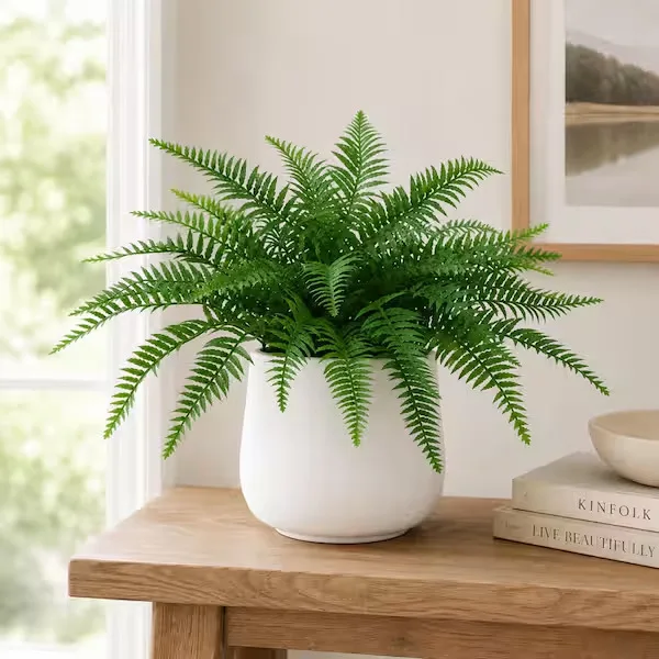 Potted Plant