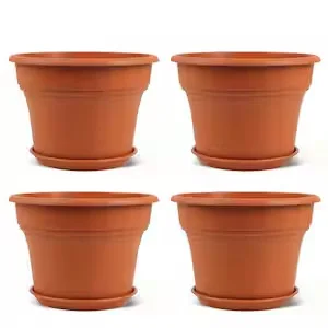 Potted Plant
