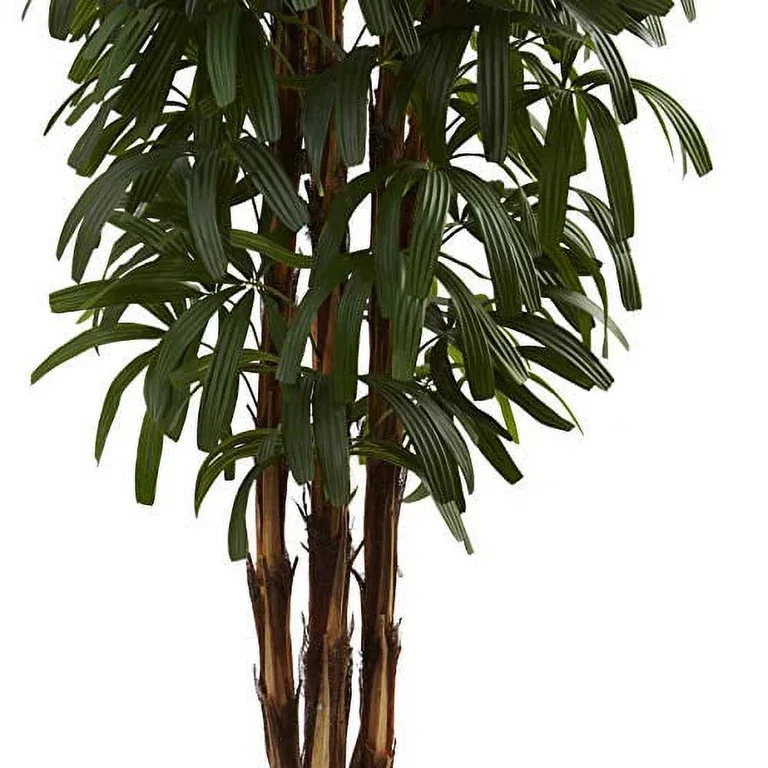 Potted Plant