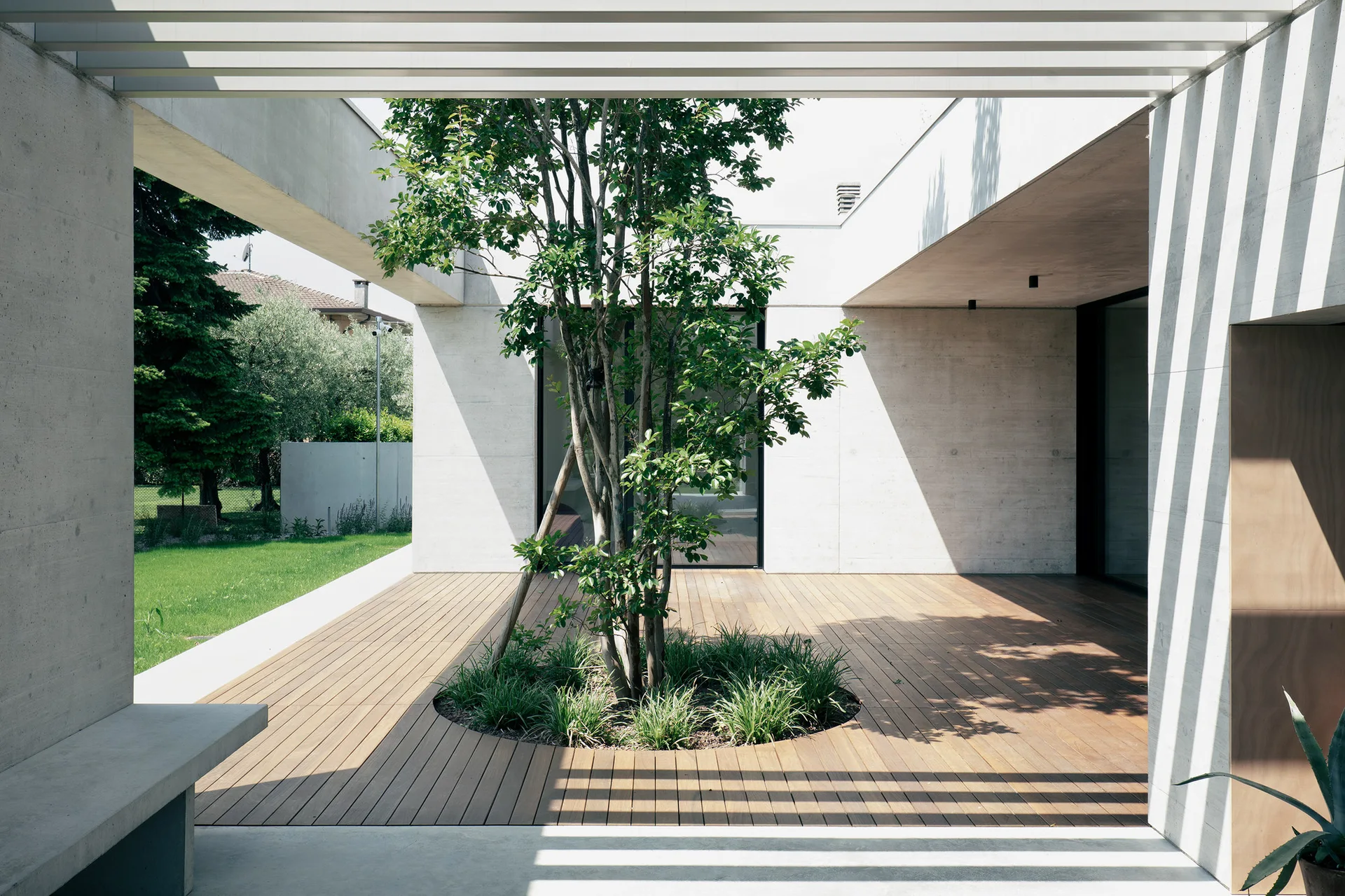 A minimalist outdoor courtyard featuring wood plank decking, a central tree growing from a circular cutout, concrete walls, and a slatted pergola overhead.
