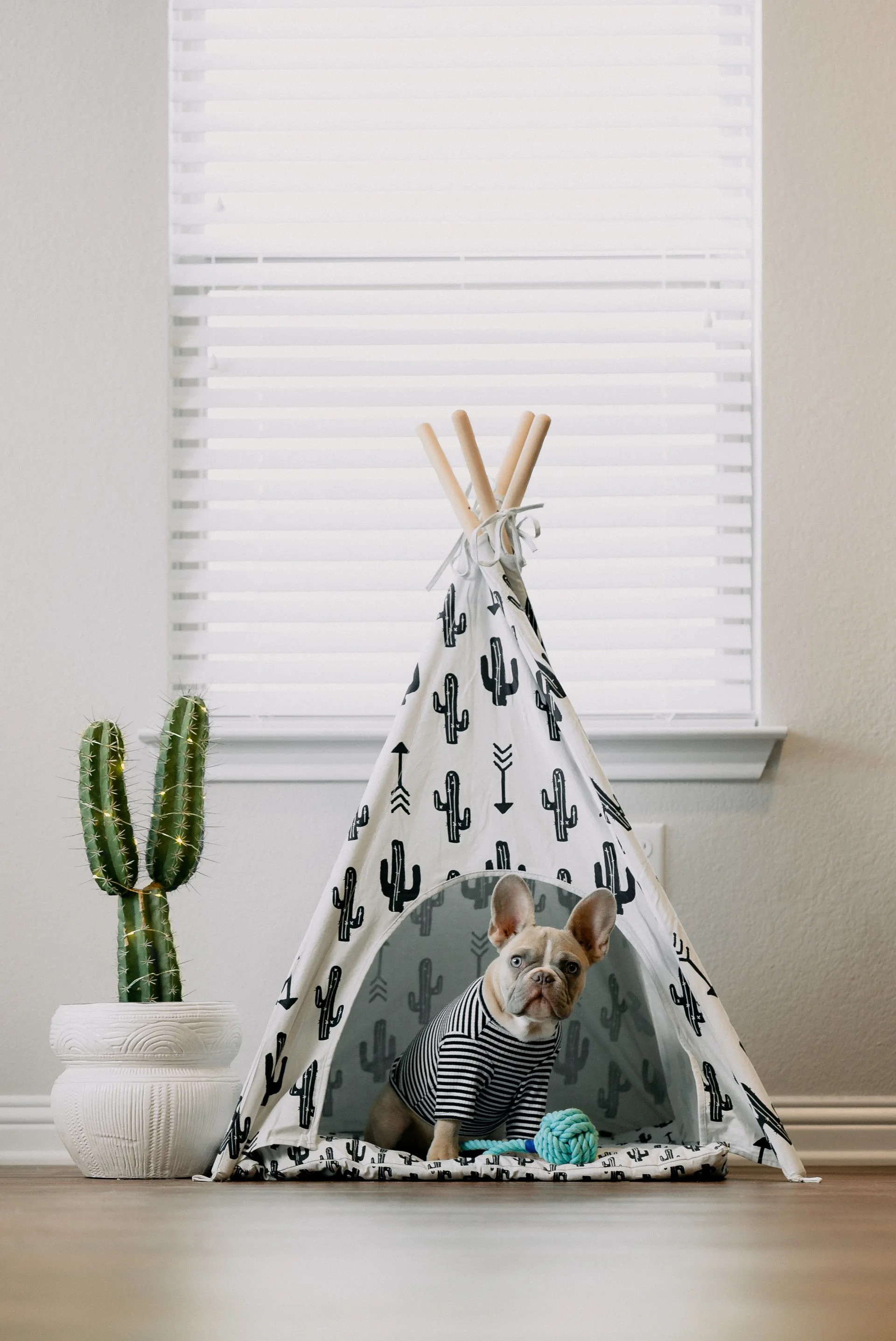 A French bulldog wearing a striped shirt sits inside a cactus print teepee next to a potted faux cactus near a window.