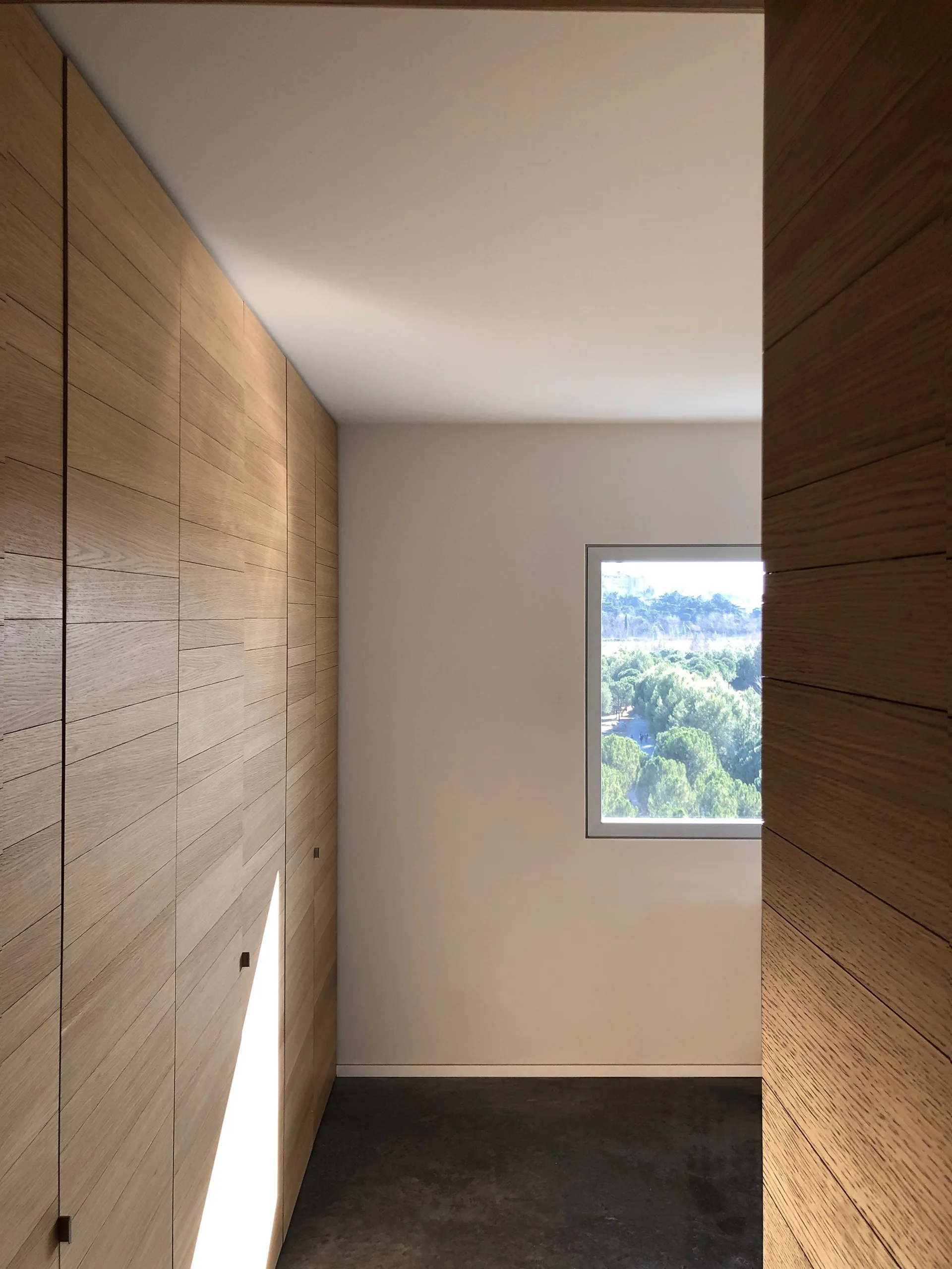 Non-Binary Space Apartment, Pachon-Paredes, Interior, Windows