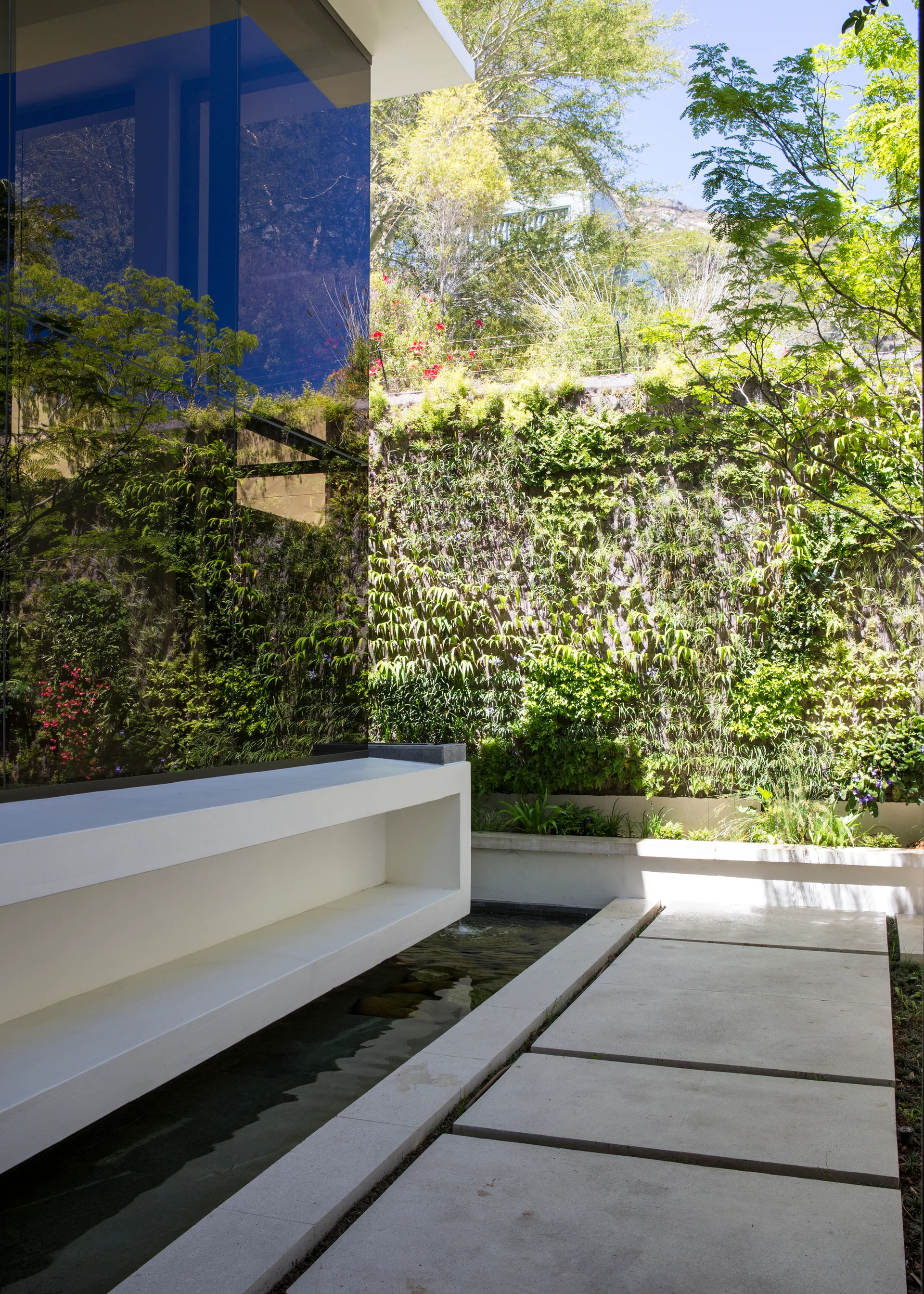 A modern outdoor patio features a white floating concrete bench hovering over a narrow water basin next to a lush green vertical garden wall.