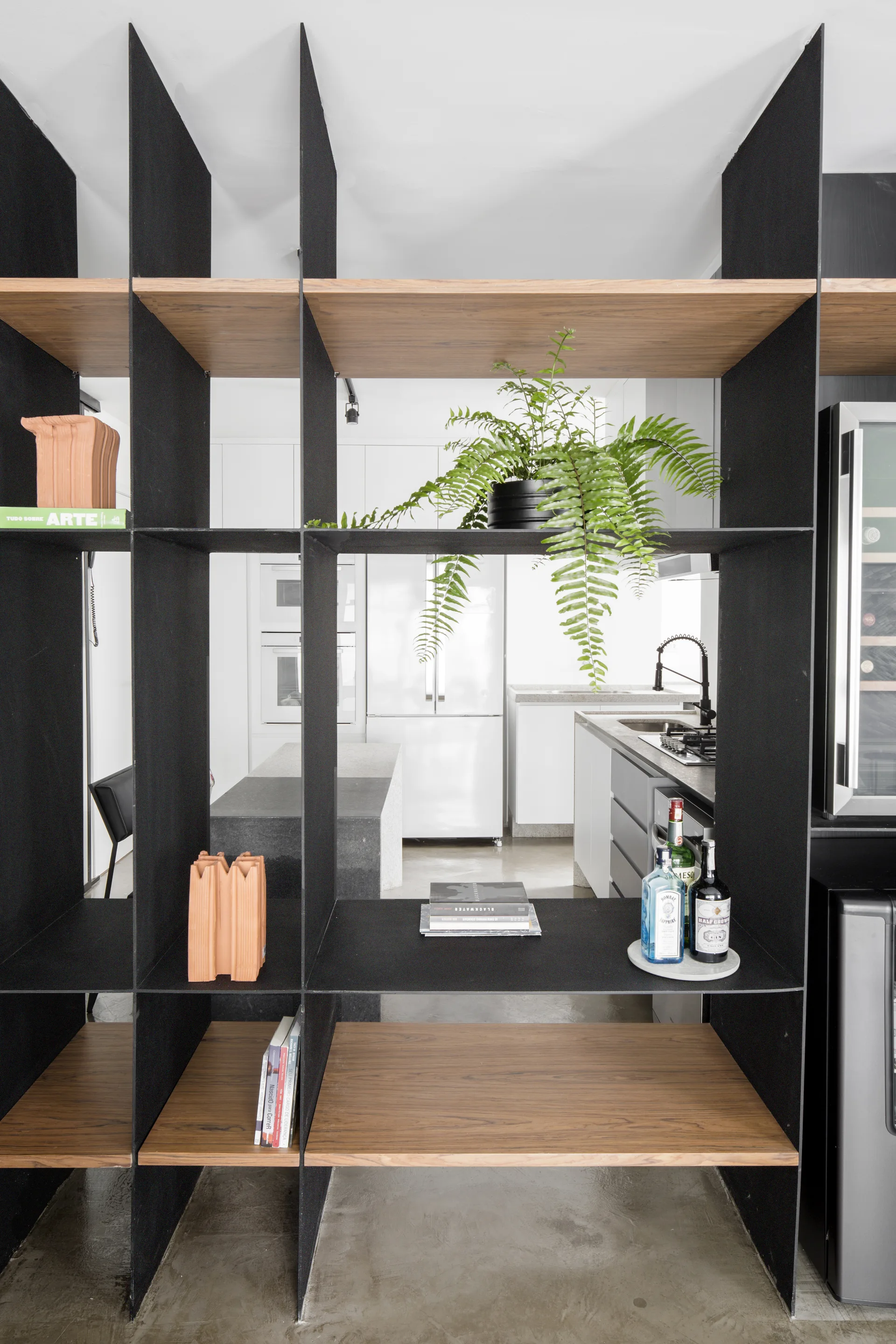 A black metal and wood open shelving unit partitions the space, displaying a green fern and books with a bright kitchen visible in the background.