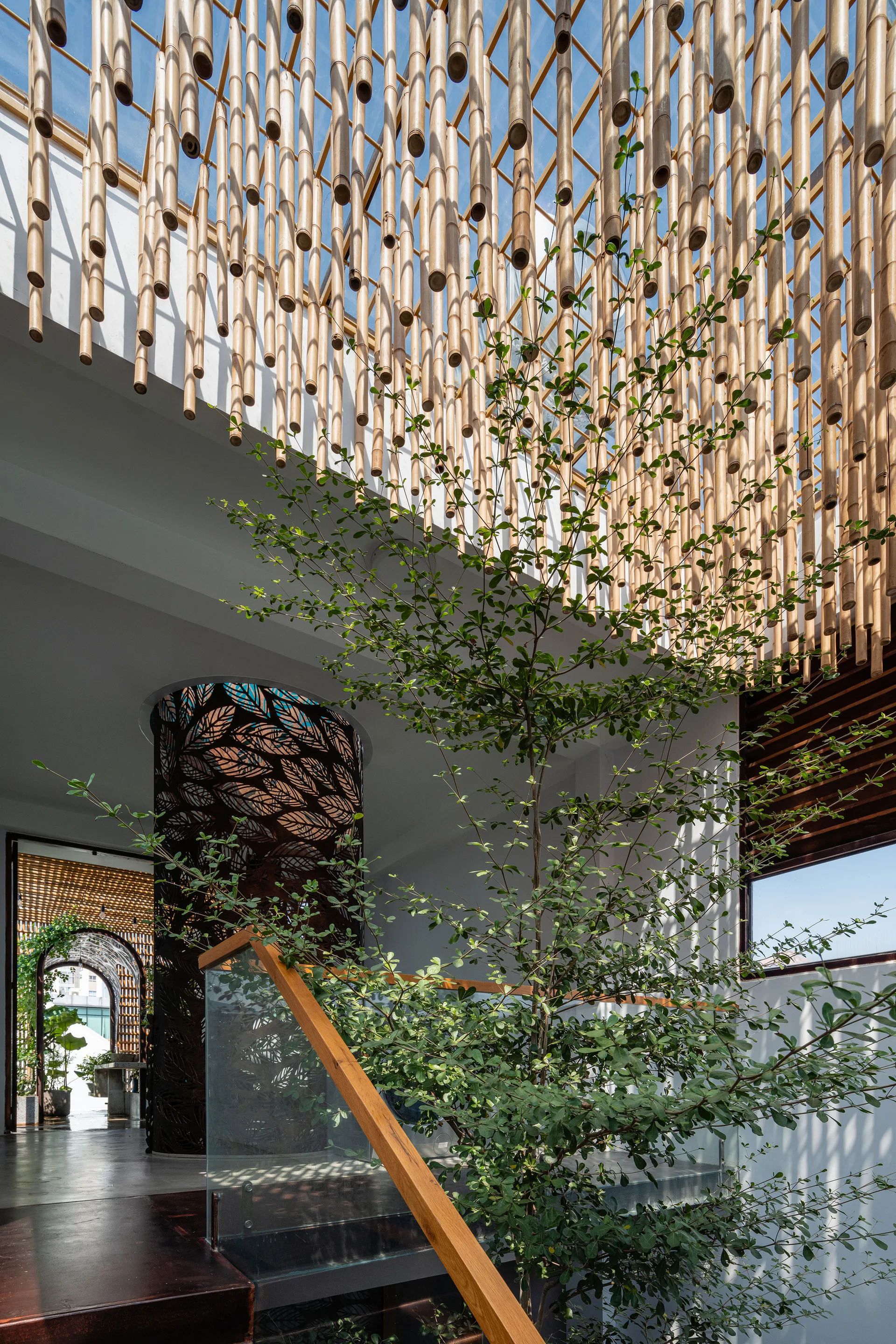 An interior staircase with a glass railing stands next to a tall indoor tree under a ceiling installation of suspended bamboo poles.