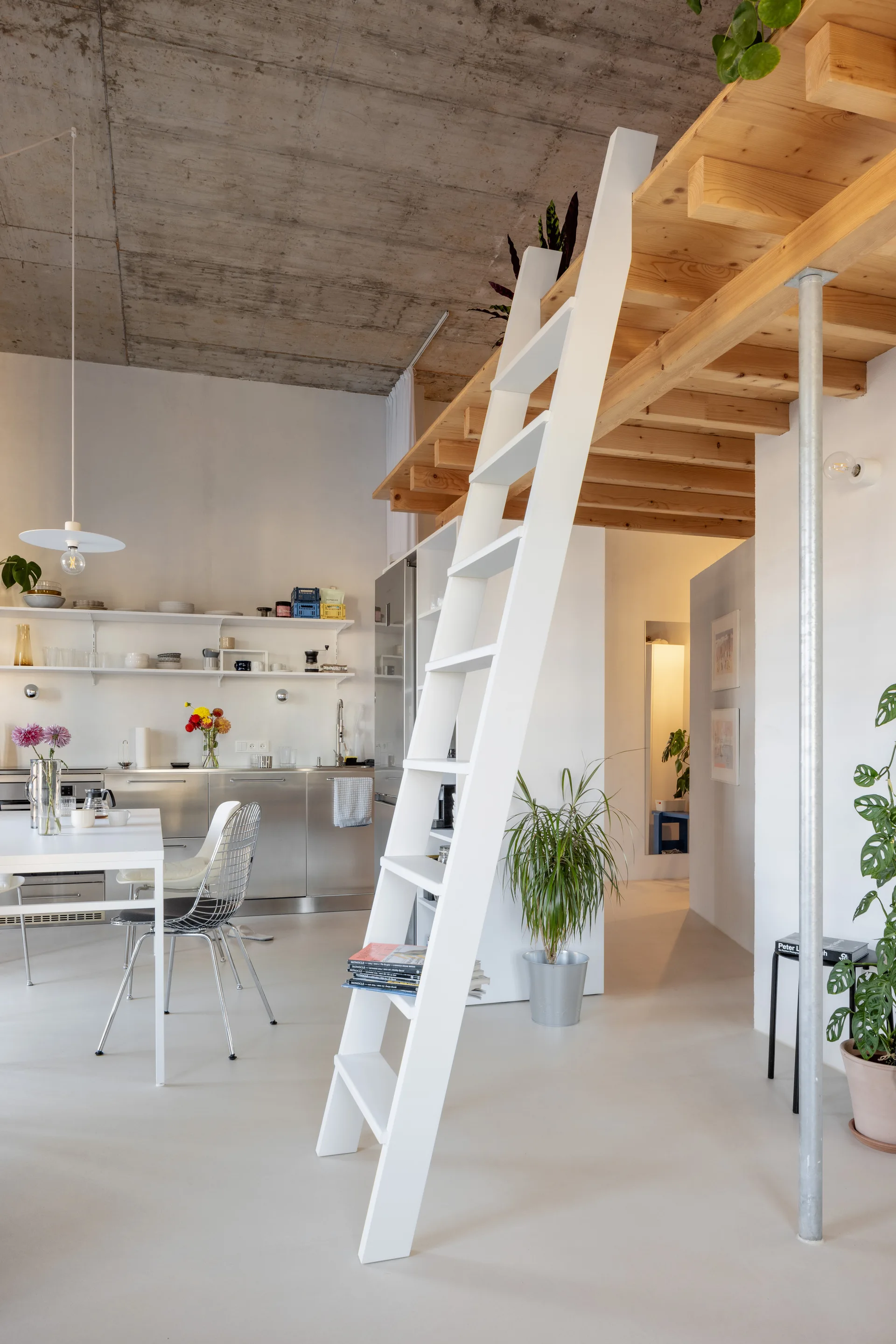 A white wooden ladder leads up to a natural pine loft in a modern open-plan kitchen with raw concrete ceilings and stainless steel cabinets.