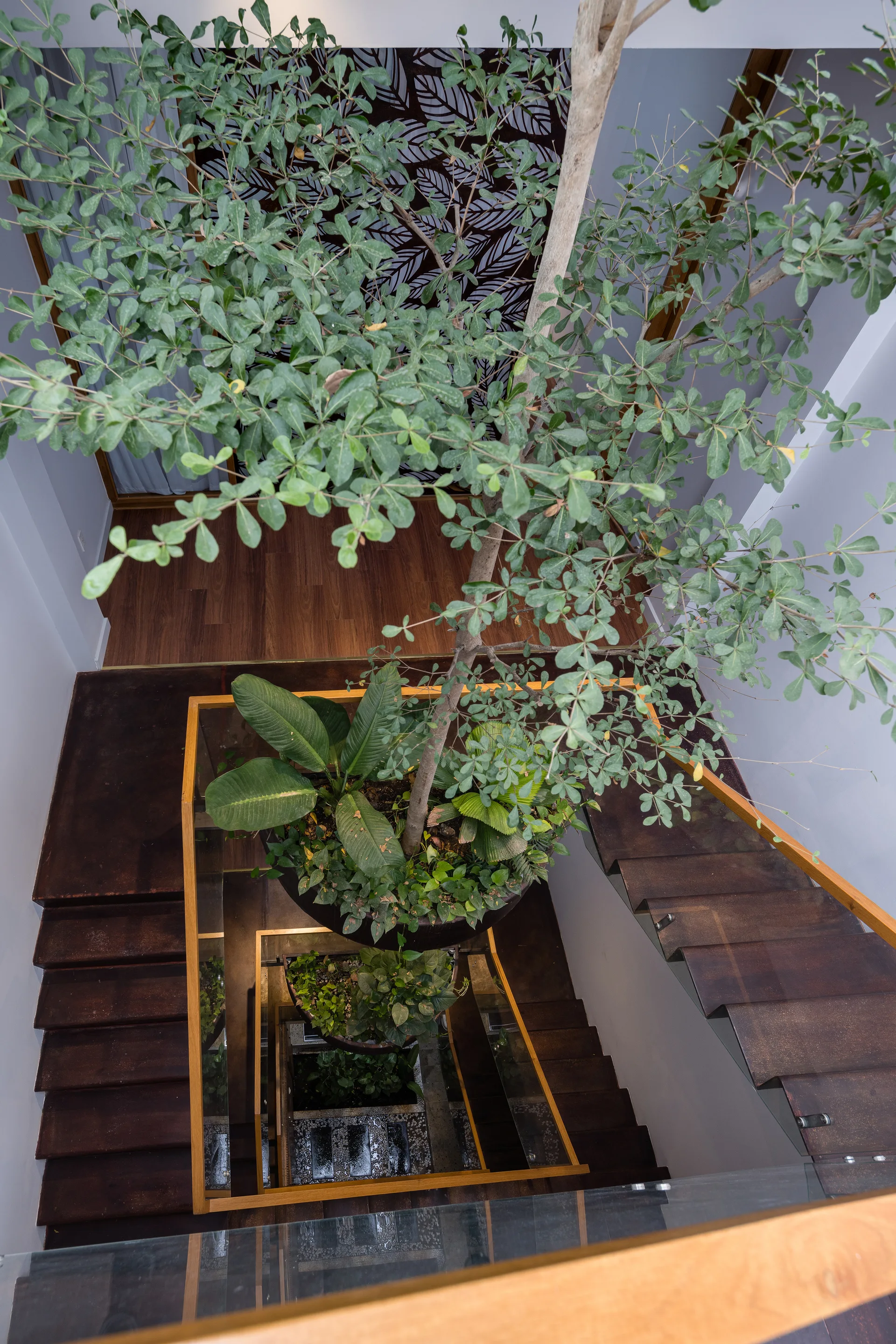 A top-down view of a modern wooden staircase winding around a central planter with a tall tree and lush green foliage.