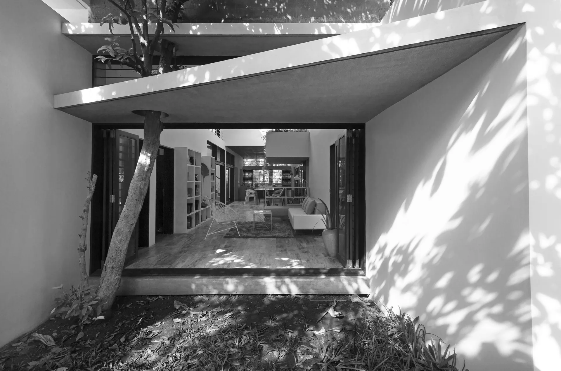 A modern living room with glass folding doors viewed from an outdoor courtyard where a tree grows through a cutout in the concrete roof.