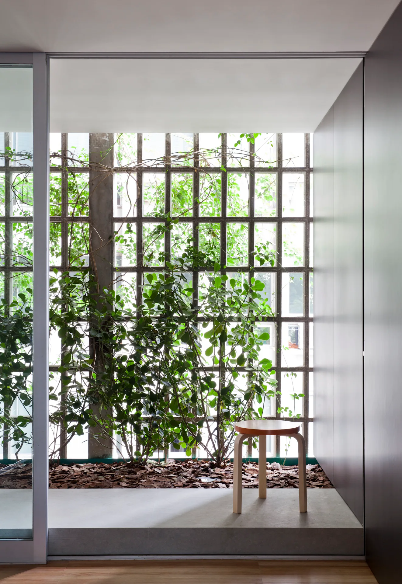 A wooden stool stands on a concrete platform in front of a grid window and a recessed indoor garden bed.