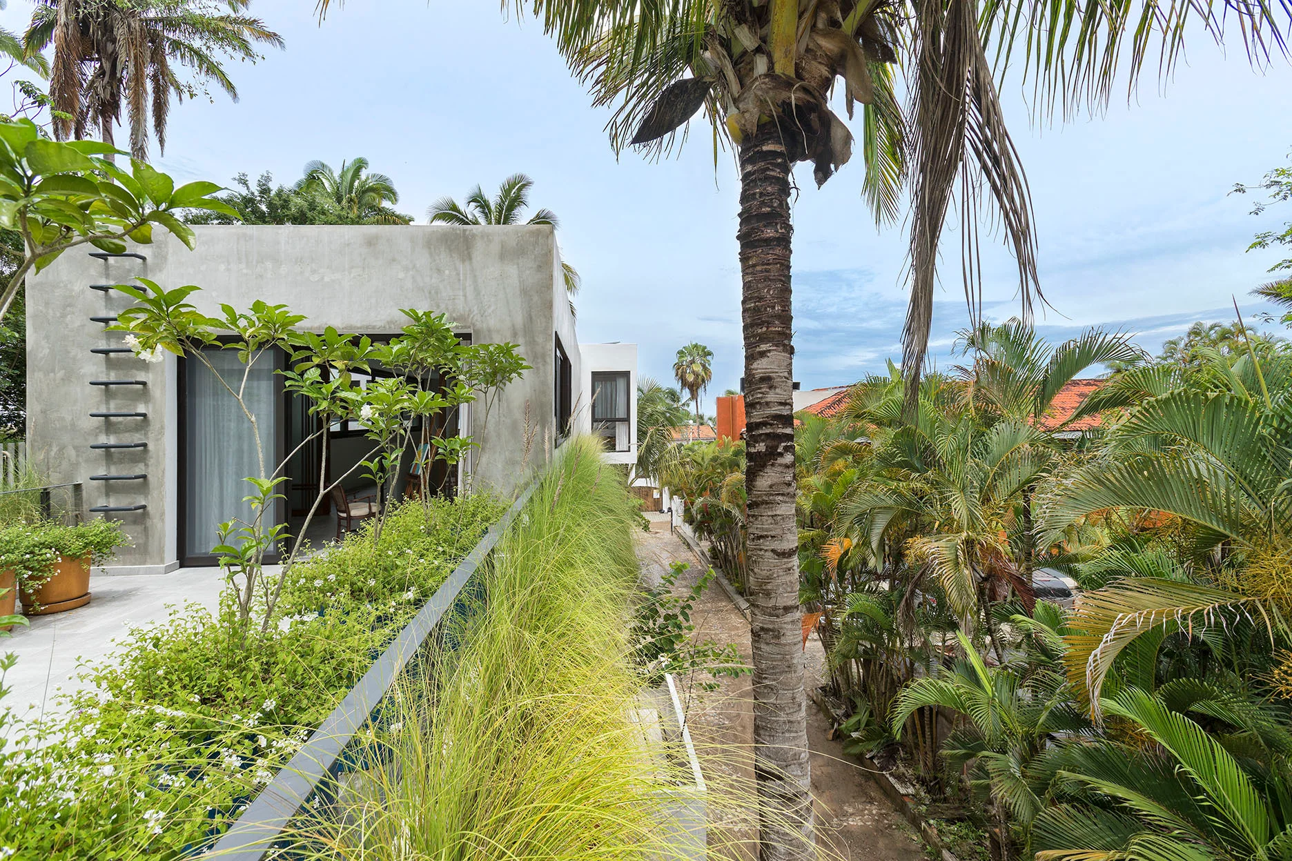 A modern grey concrete building features a tiled terrace with a metal railing, lush green ornamental grasses, and surrounding palm trees.