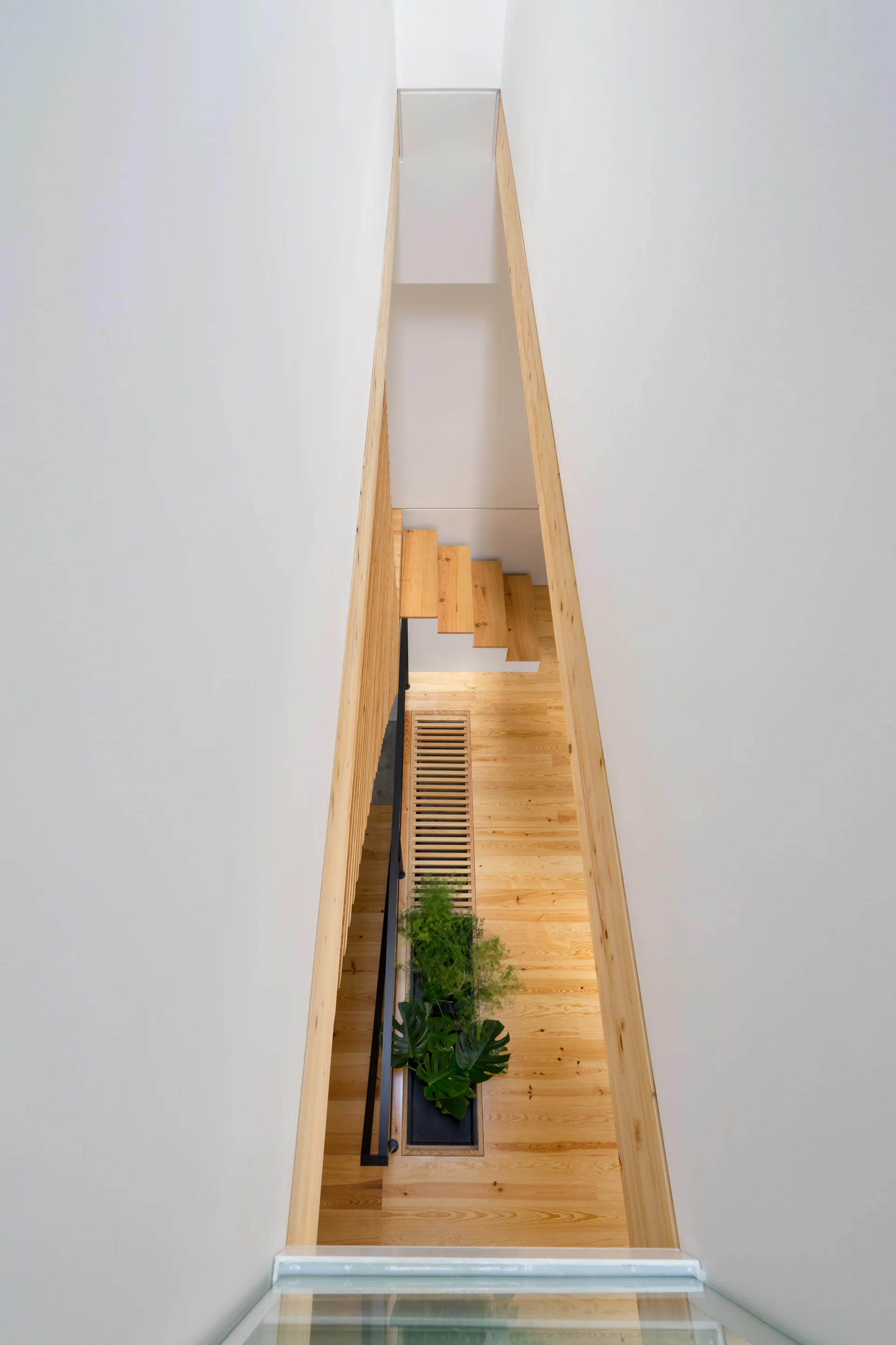 High-angle view looking down a narrow white stairwell featuring light wood floors, floating stairs, and a recessed planter with green foliage.