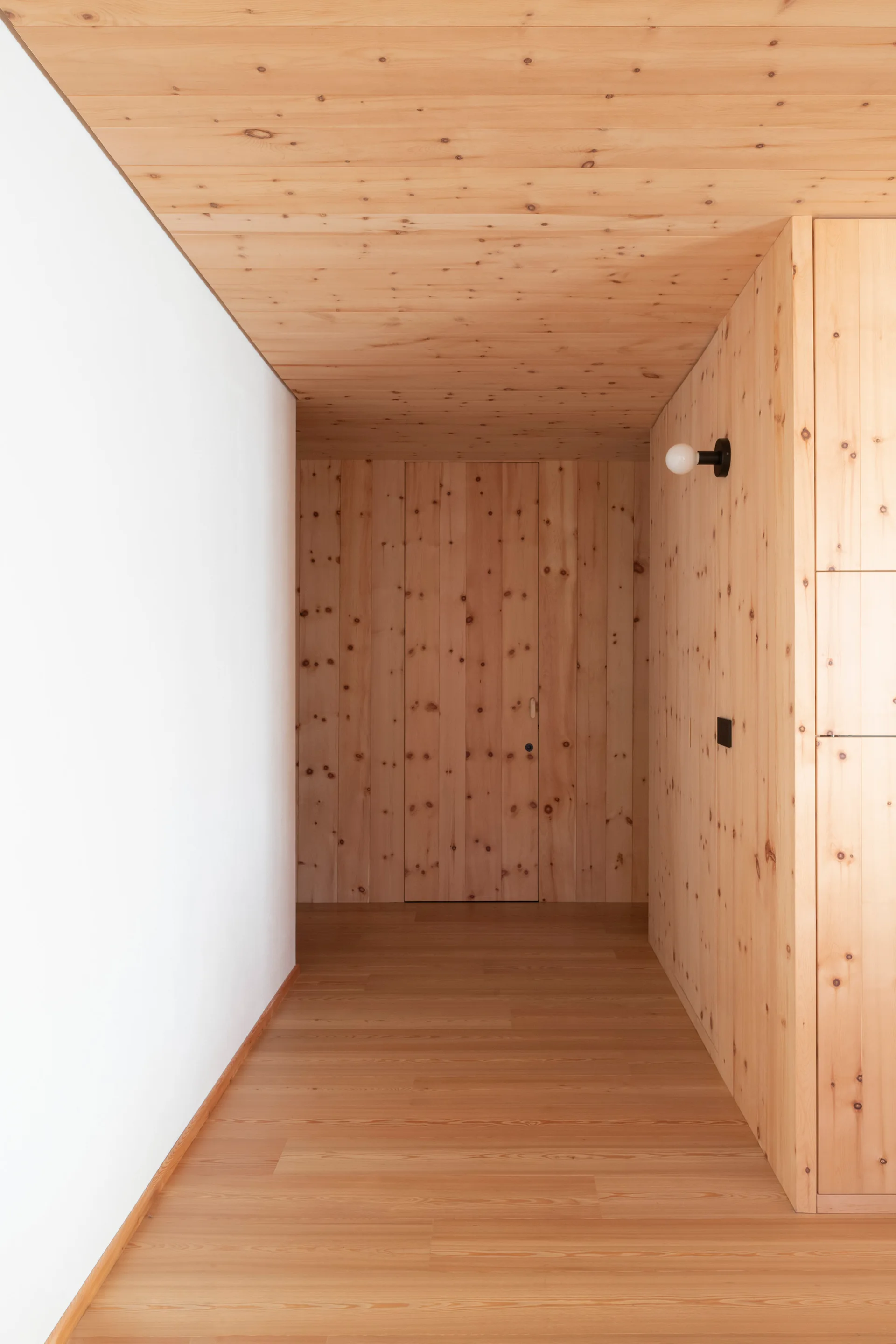 A minimalist corridor features walls and a ceiling clad in knotty pine paneling, a matching seamless flush door, and a single black globe wall sconce.
