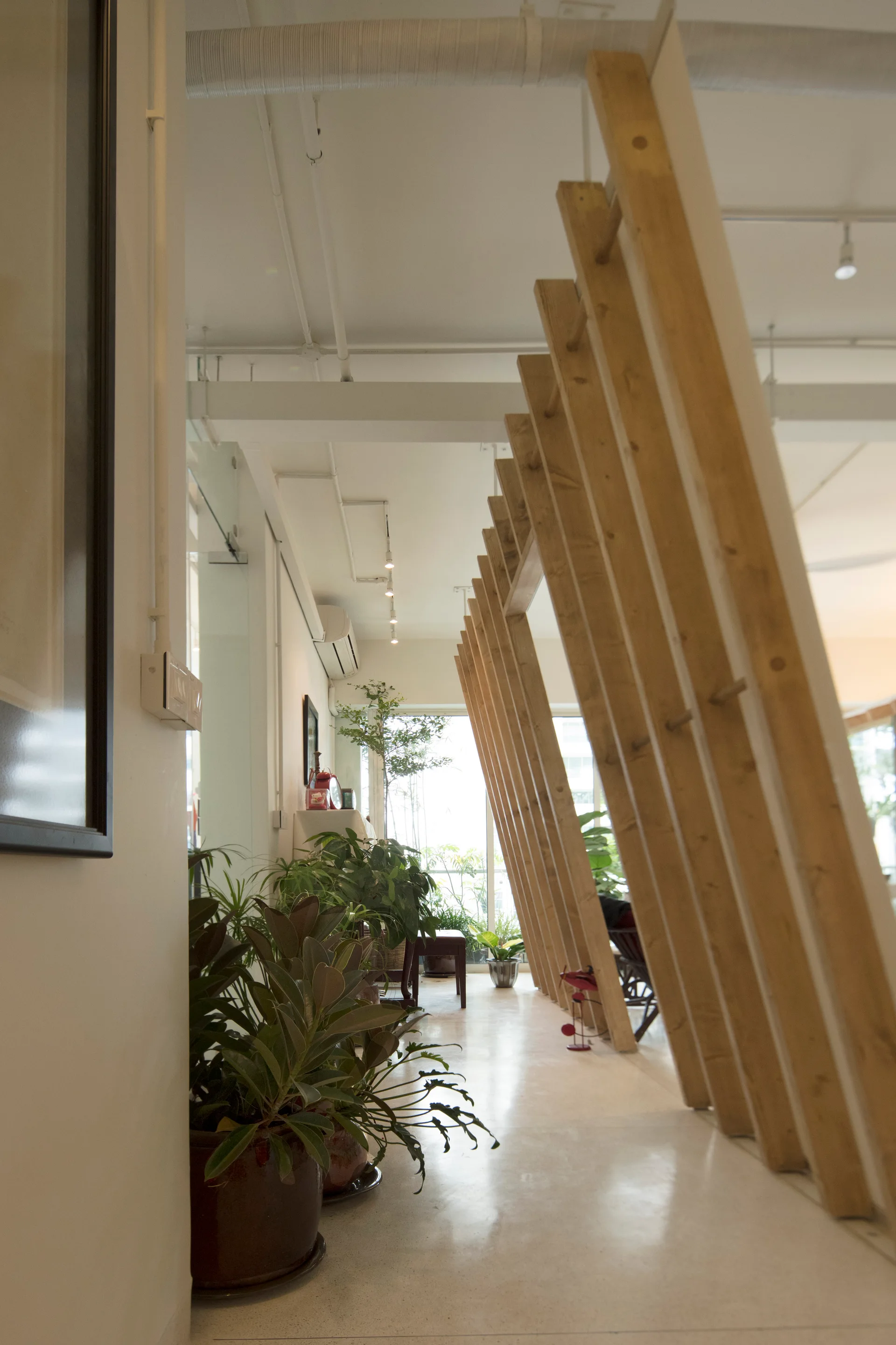 An interior hallway featuring a slanted timber beam partition wall, numerous green potted plants, and an exposed ceiling.