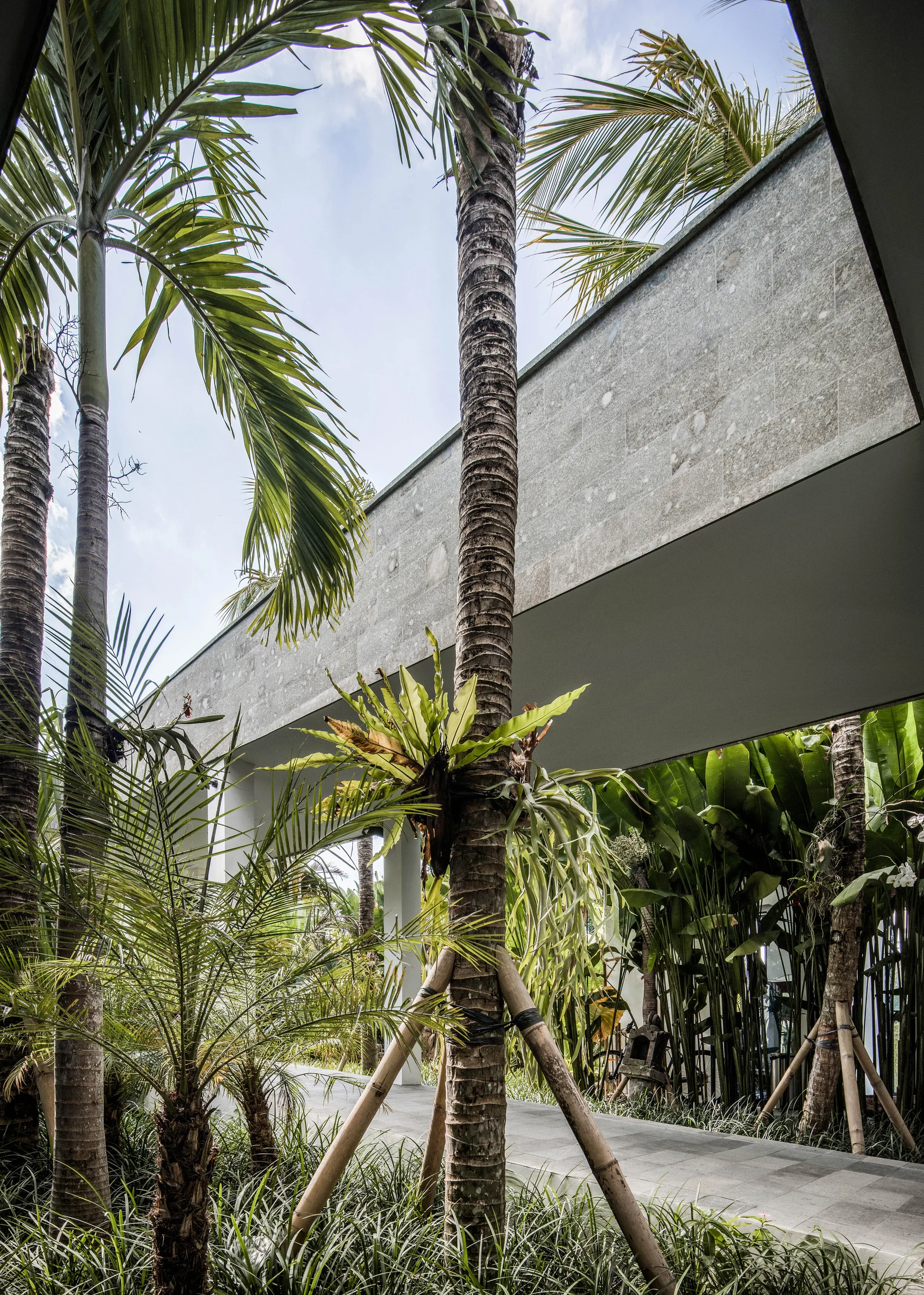 A paved stone path winds past tall palm trees beneath a minimalist grey stone building facade surrounded by lush tropical greenery.