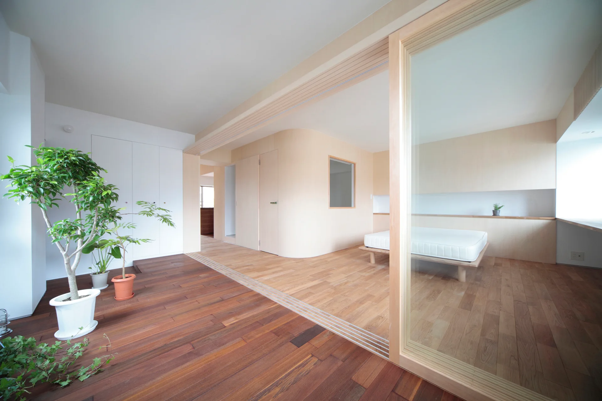 A minimalist bedroom featuring a low platform bed, a glass sliding partition door, a curved light wood wall, and two-tone hardwood flooring.