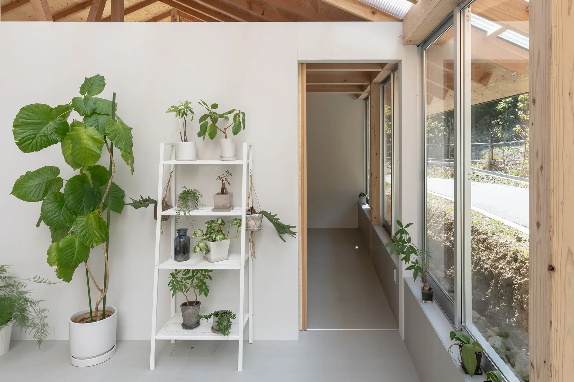 A white ladder shelf holds potted plants in a bright hallway featuring exposed wood ceiling beams and large floor-to-ceiling windows.