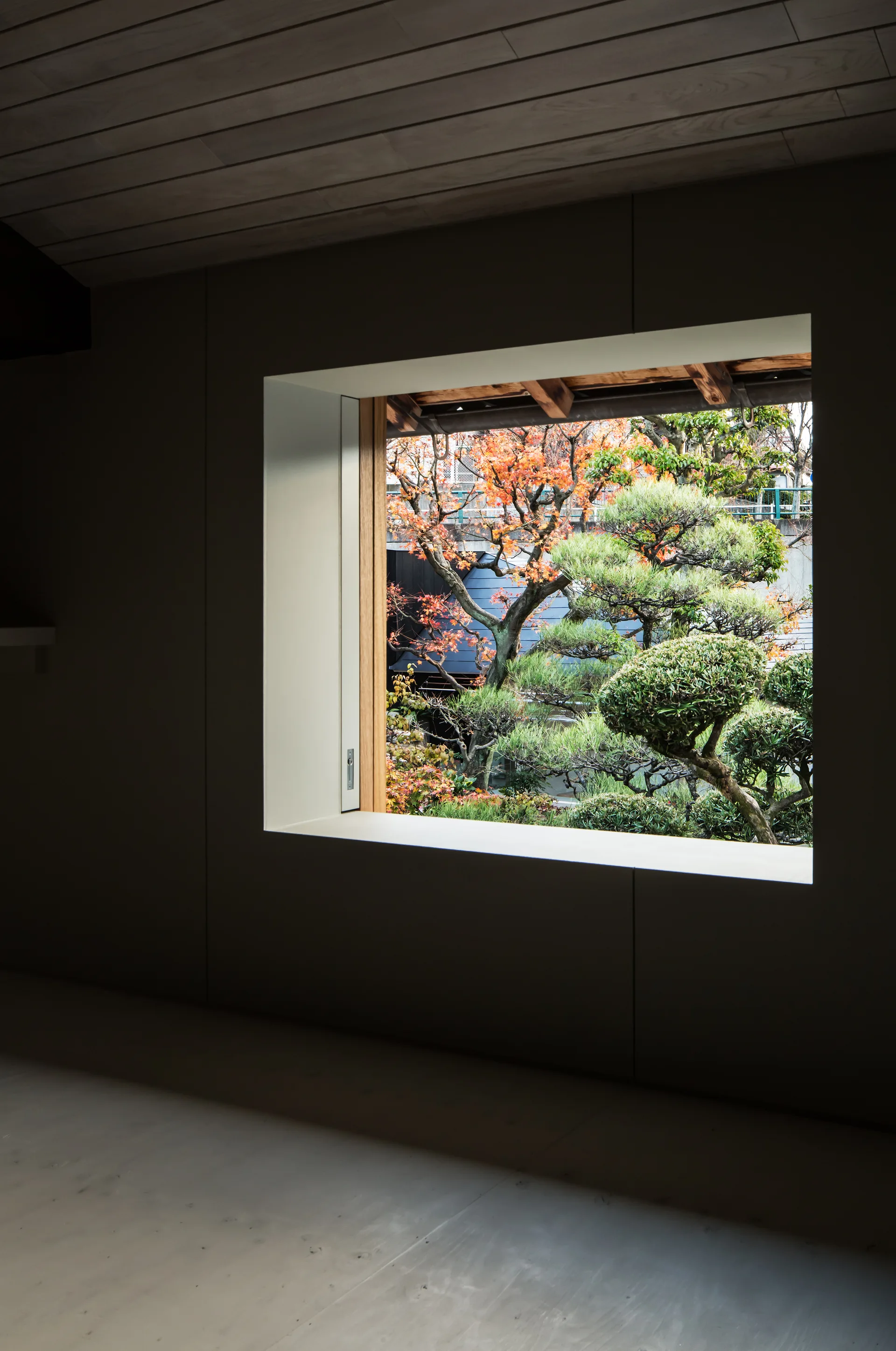 A dark minimalist room features a wood plank ceiling and a large square picture window looking out onto a green and orange Japanese garden.