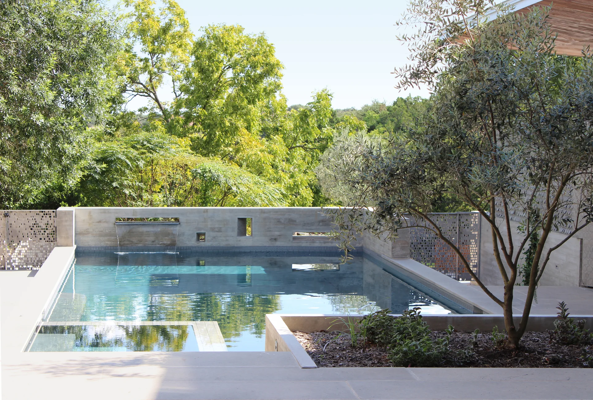 A rectangular swimming pool is framed by smooth grey concrete walls with an integrated water spout and a nearby olive tree.