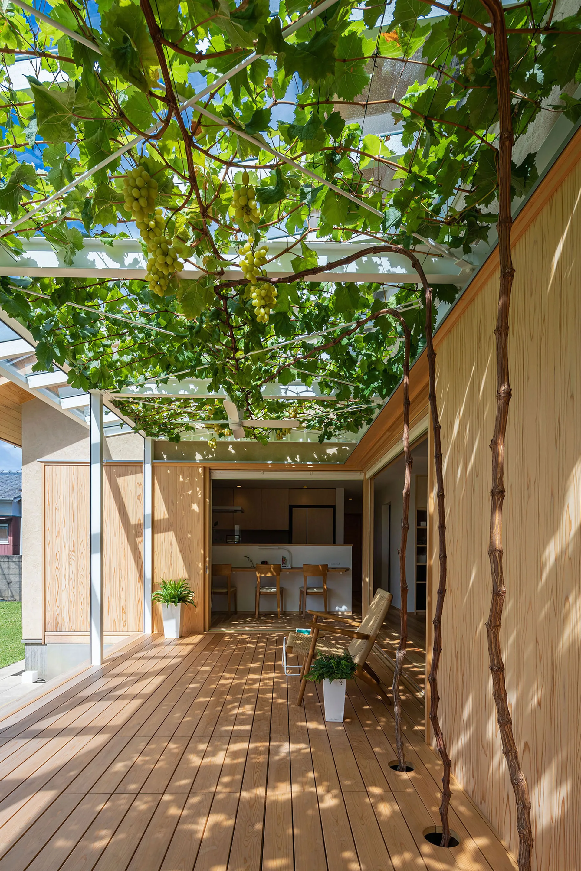 A light wood patio deck features a white trellis covered in leafy grapevines with hanging grapes, leading into a kitchen through sliding doors.