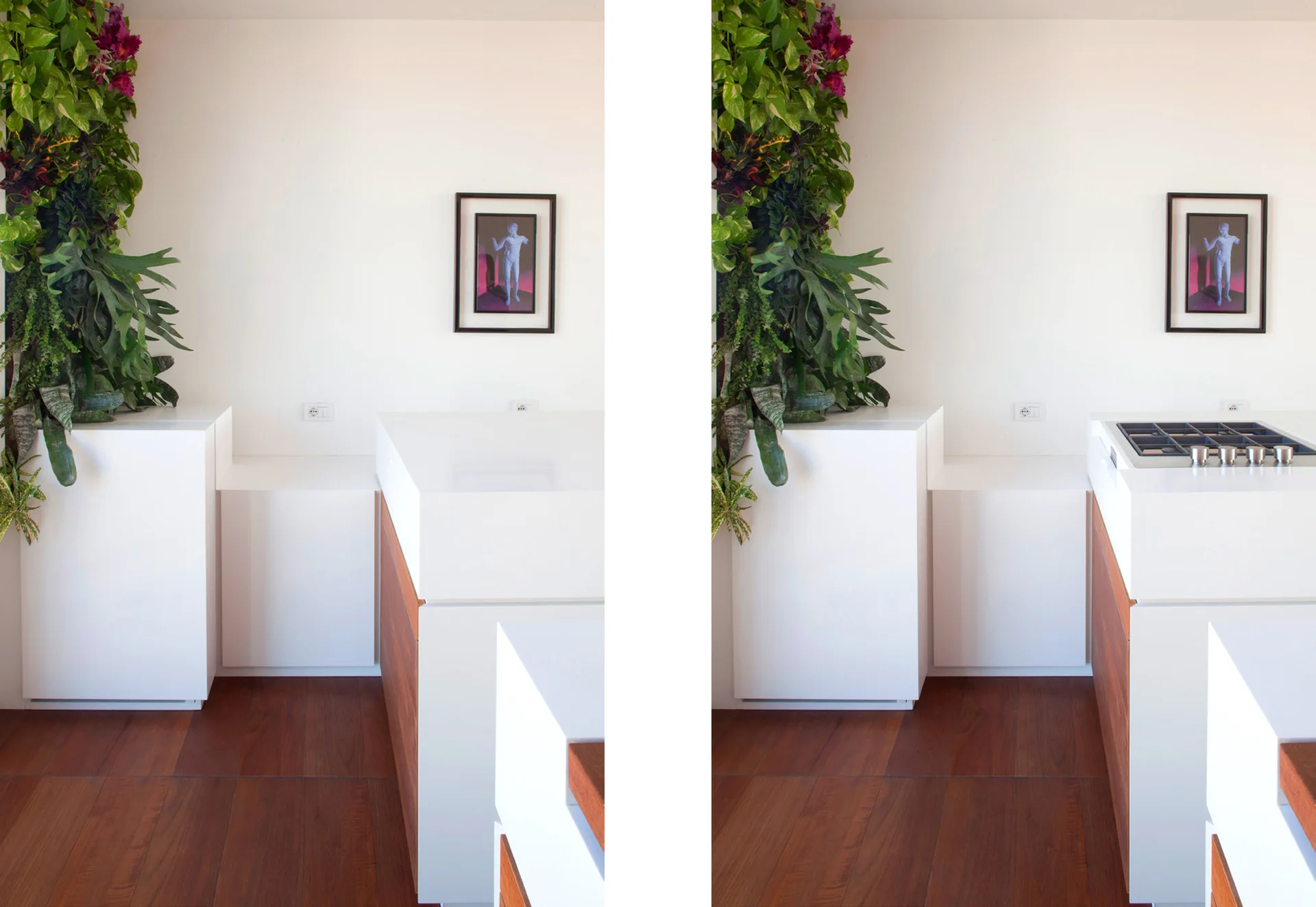 A minimalist kitchen features a white island with a built-in cooktop, dark wood floors, and a vertical column of indoor plants.