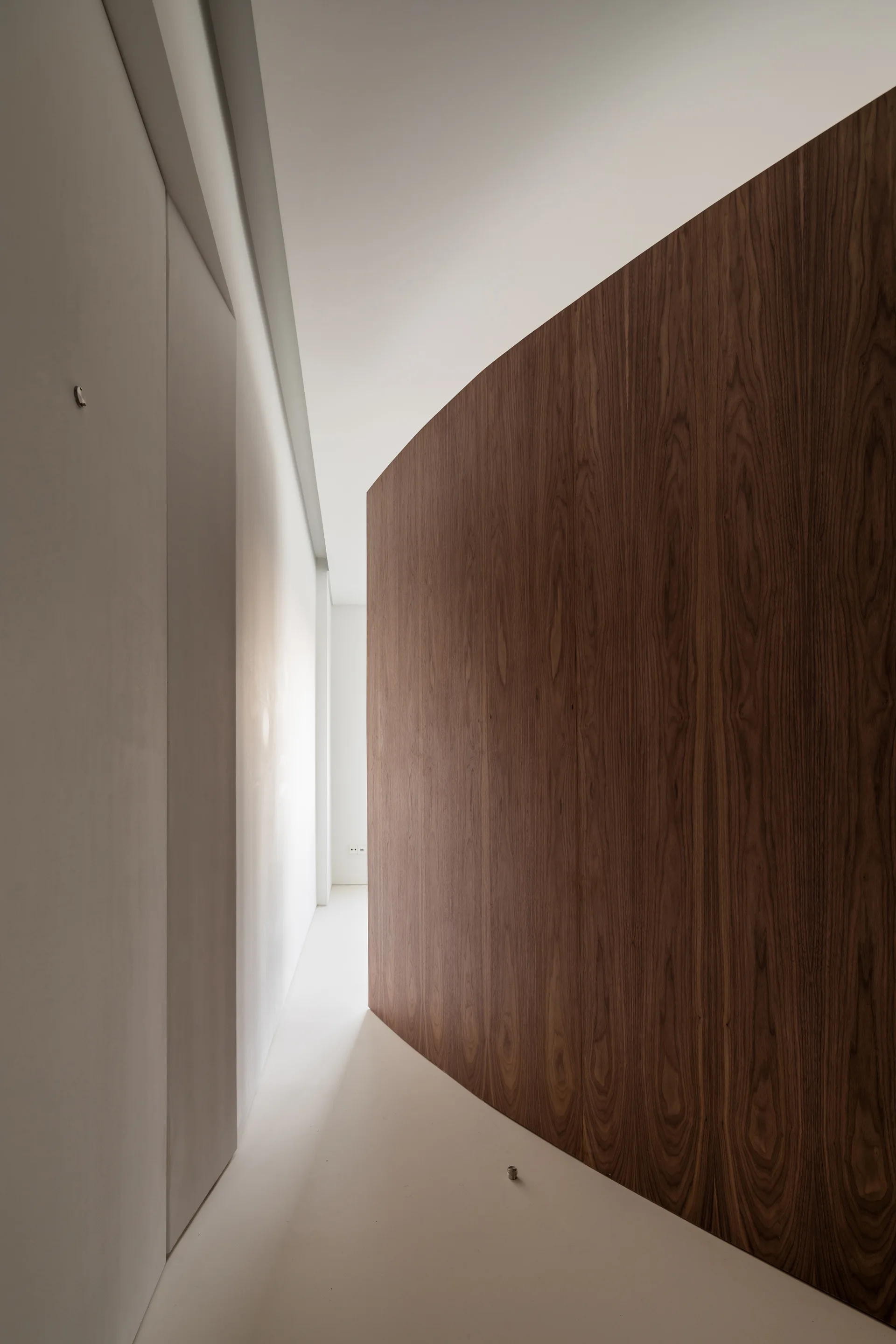 A minimalist white hallway features a large curved wall finished in natural wood grain paneling under a recessed ceiling cove.