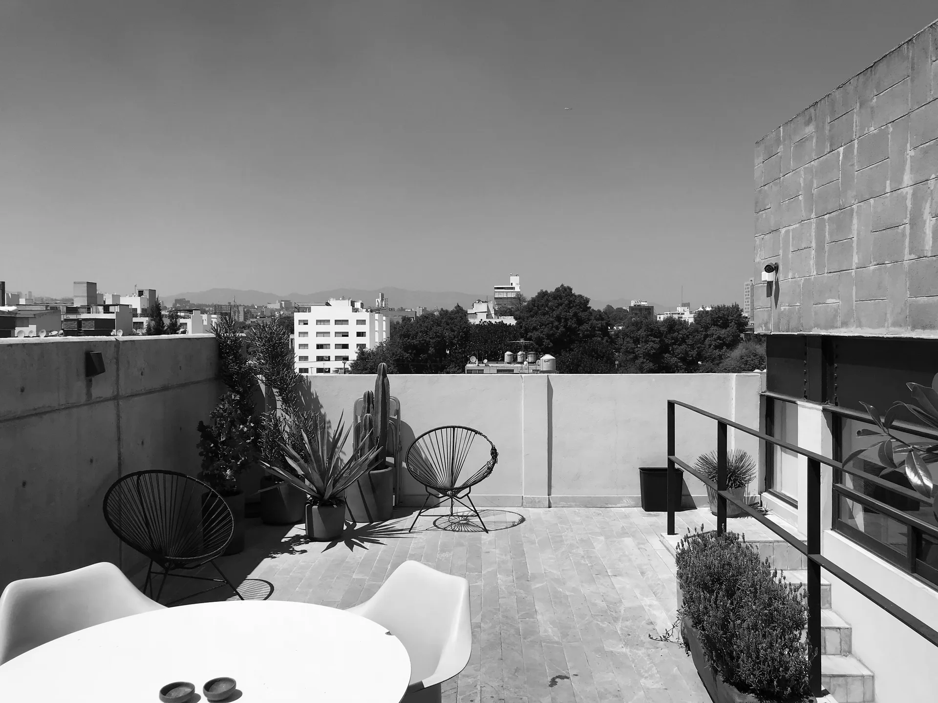 A sunny rooftop terrace features minimalist wire-frame chairs, a round dining table, potted cacti, and concrete walls.
