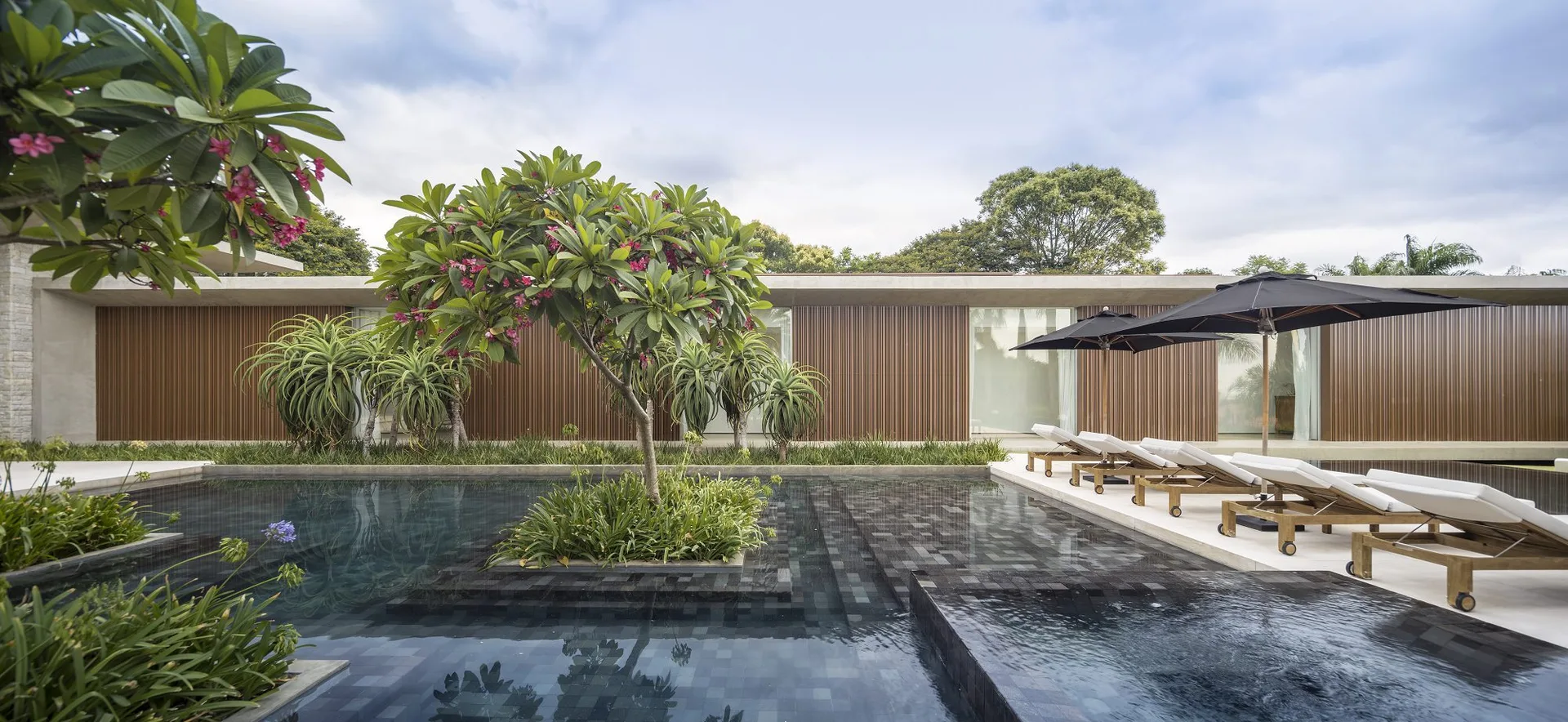 A modern outdoor swimming pool with dark tiles features a built-in planter with a flowering tree next to lounge chairs under black umbrellas.