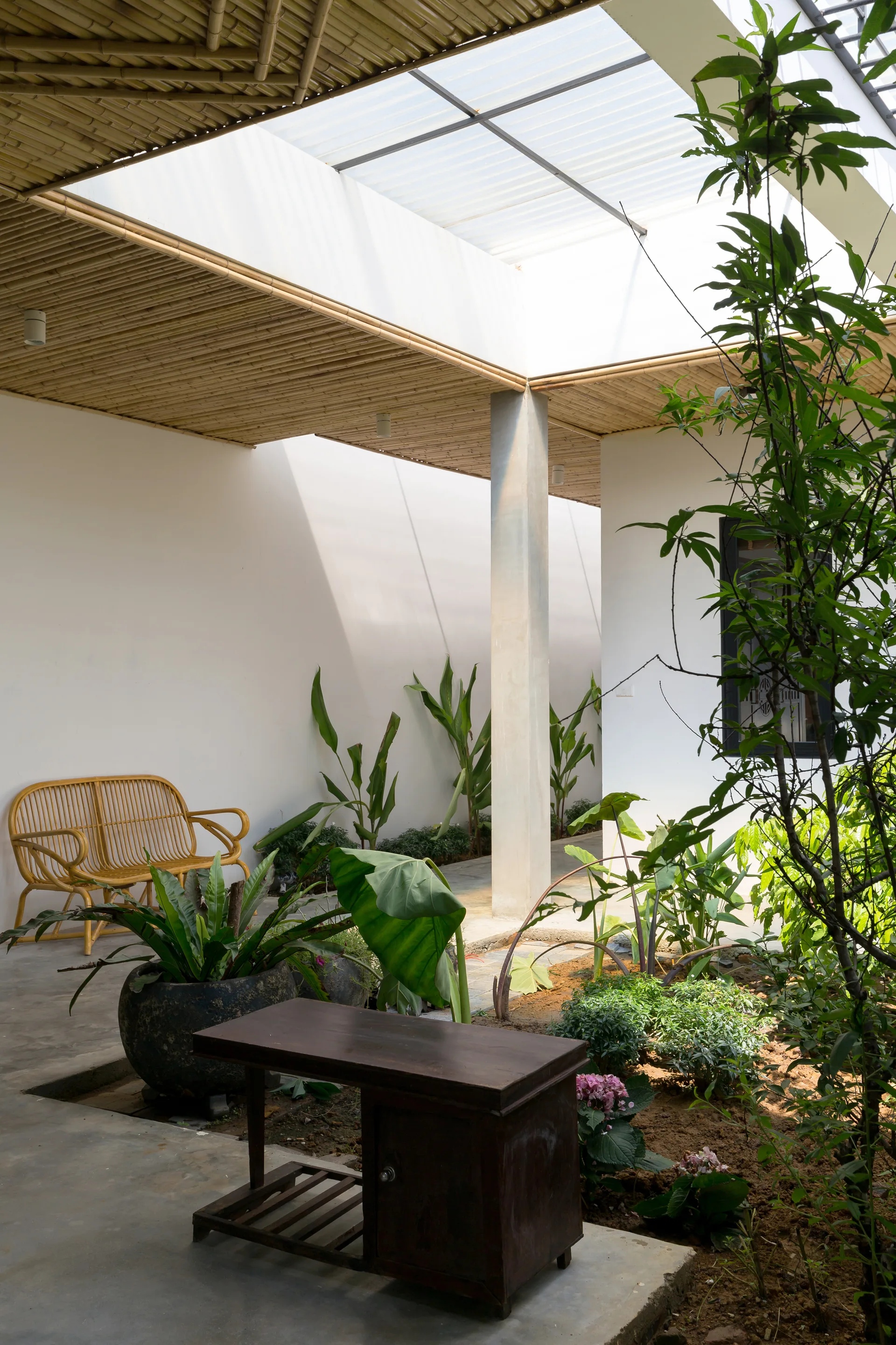 A minimalist courtyard patio features a slatted bamboo ceiling, a translucent skylight, white walls, concrete flooring, and tropical green plants.