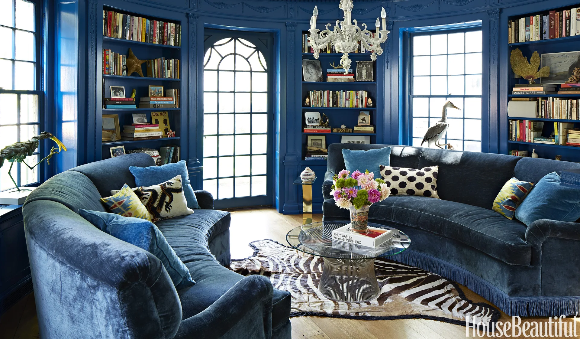 A library room with deep blue walls, built-in bookshelves, two curved blue velvet sofas, and a zebra print rug on wood flooring.