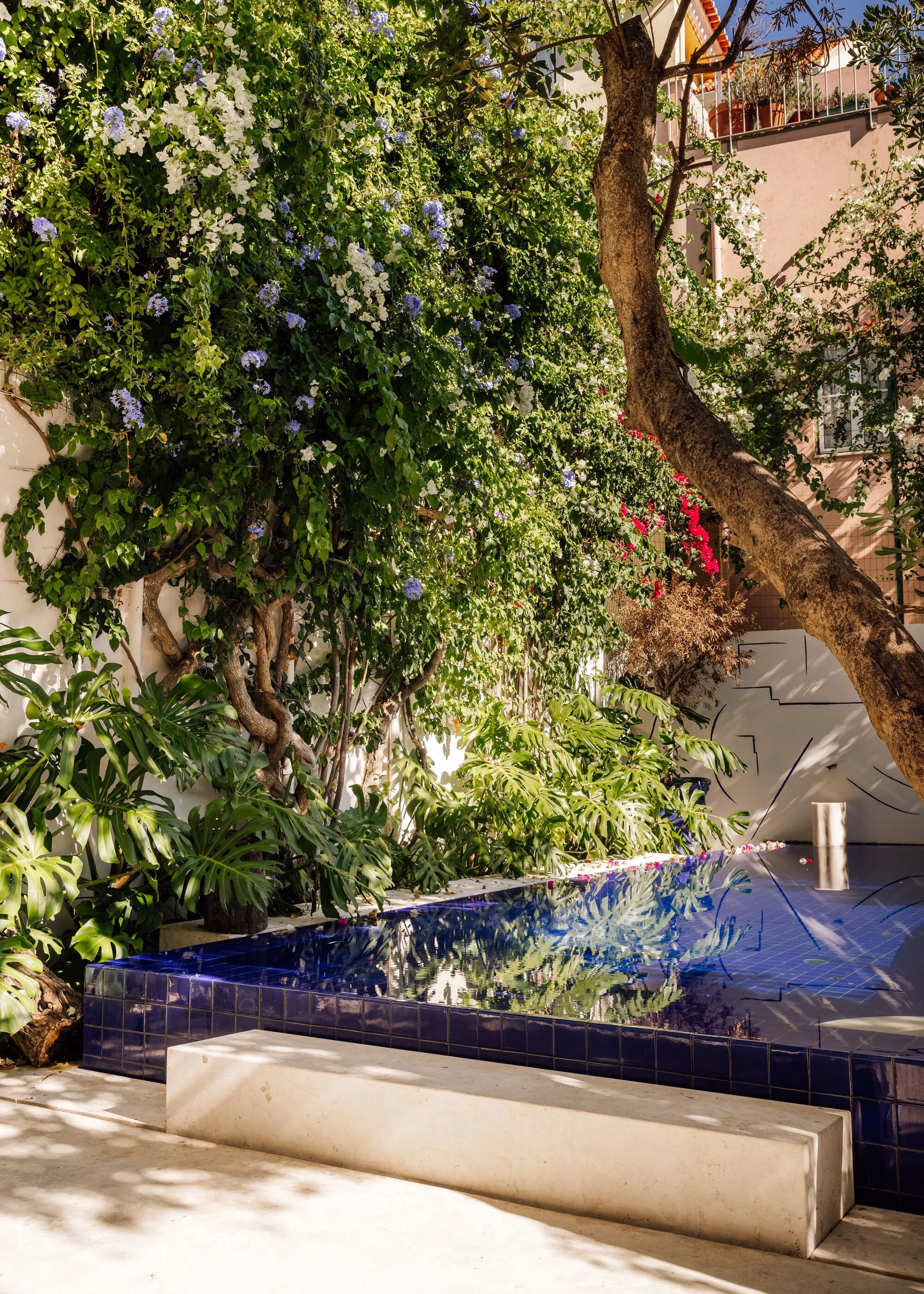 A rectangular outdoor swimming pool with vibrant cobalt blue tiles is bordered by a low white concrete bench and a dense wall of climbing green plants.