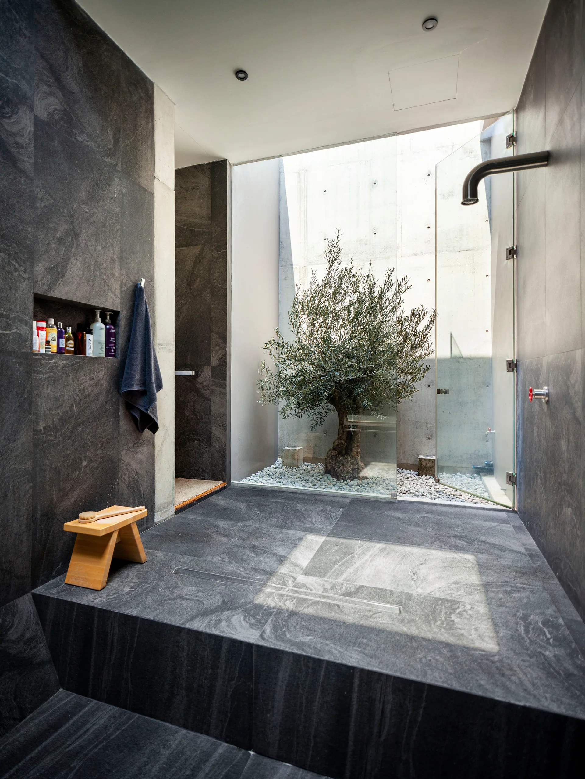 A minimalist walk-in shower lined with dark charcoal stone tiles features a glass wall looking out to an open-air light well with a small olive tree.
