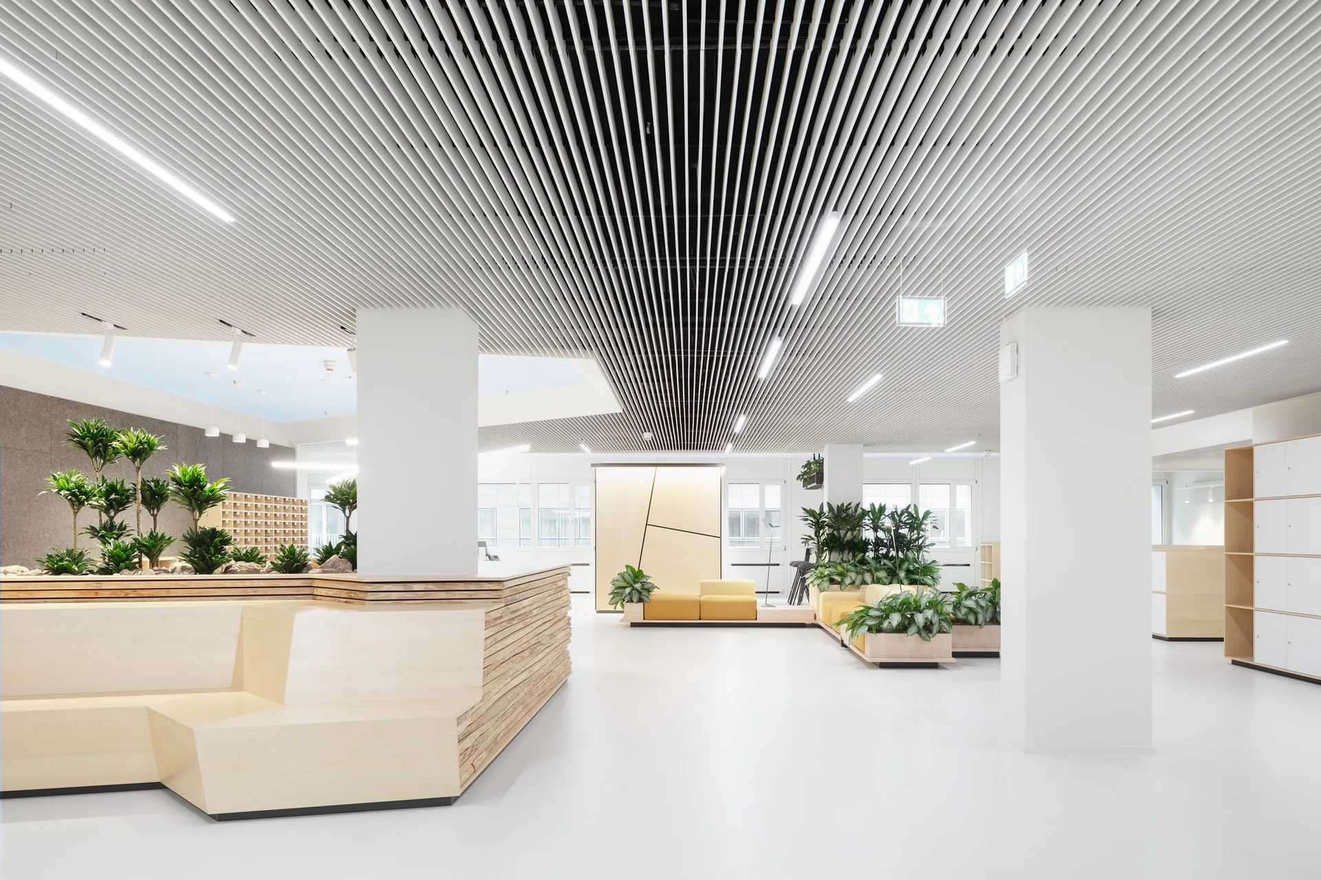 A bright office reception area features a distinctive slatted ceiling, a light wood reception desk, white columns, and integrated green planters.