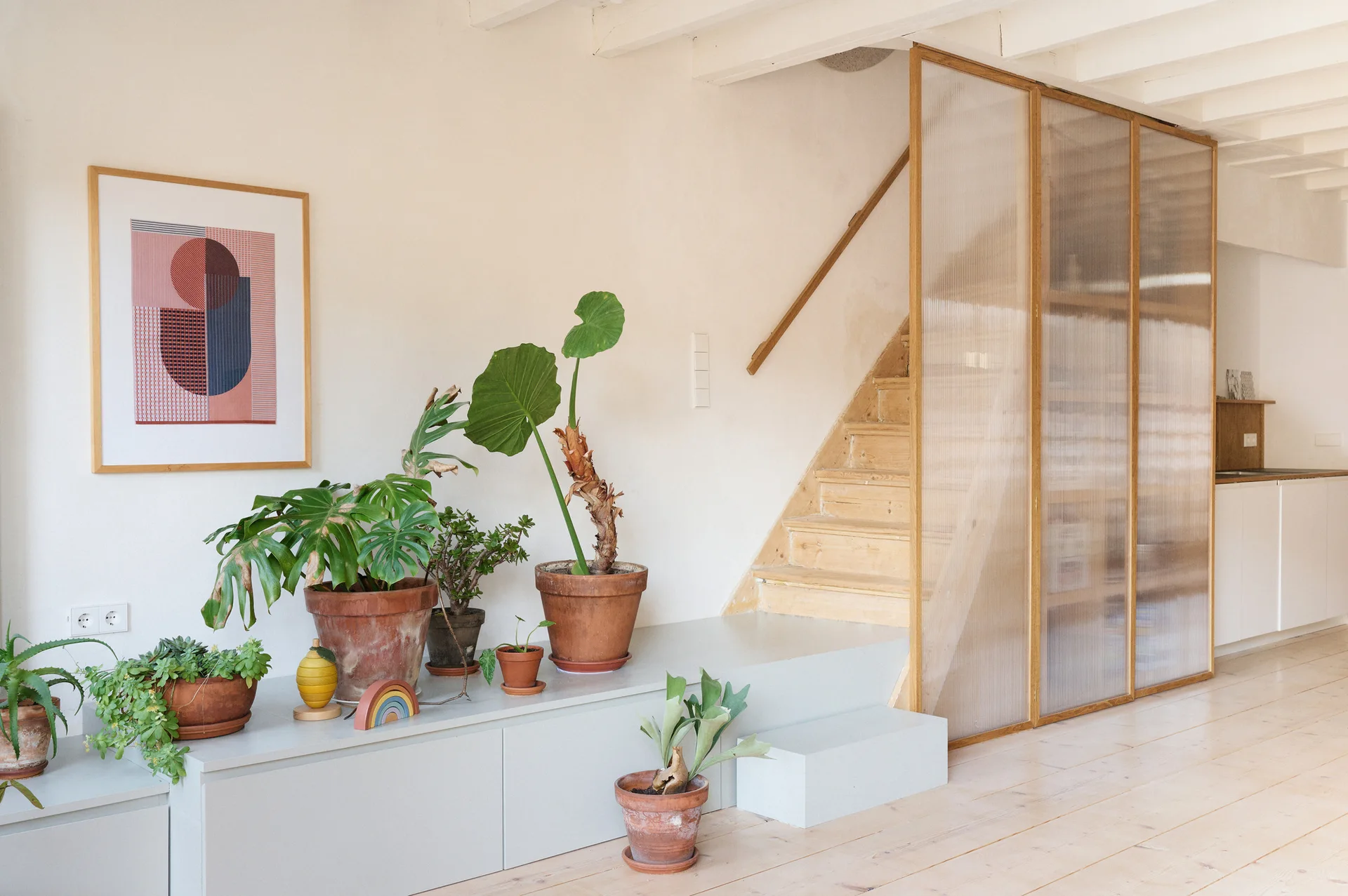 A wooden staircase features a ribbed glass partition next to a low gray cabinet topped with various green plants in terracotta pots.