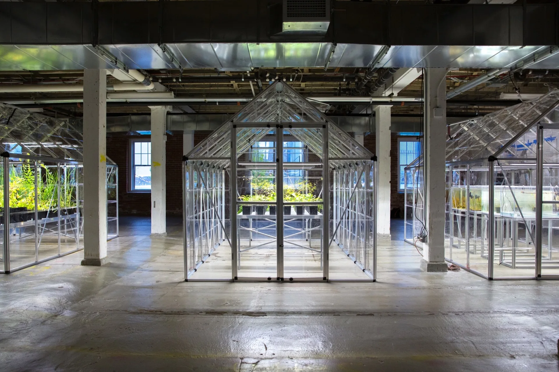 Multiple freestanding glass greenhouses with metal frames sit on a concrete floor inside an industrial warehouse with exposed ductwork.