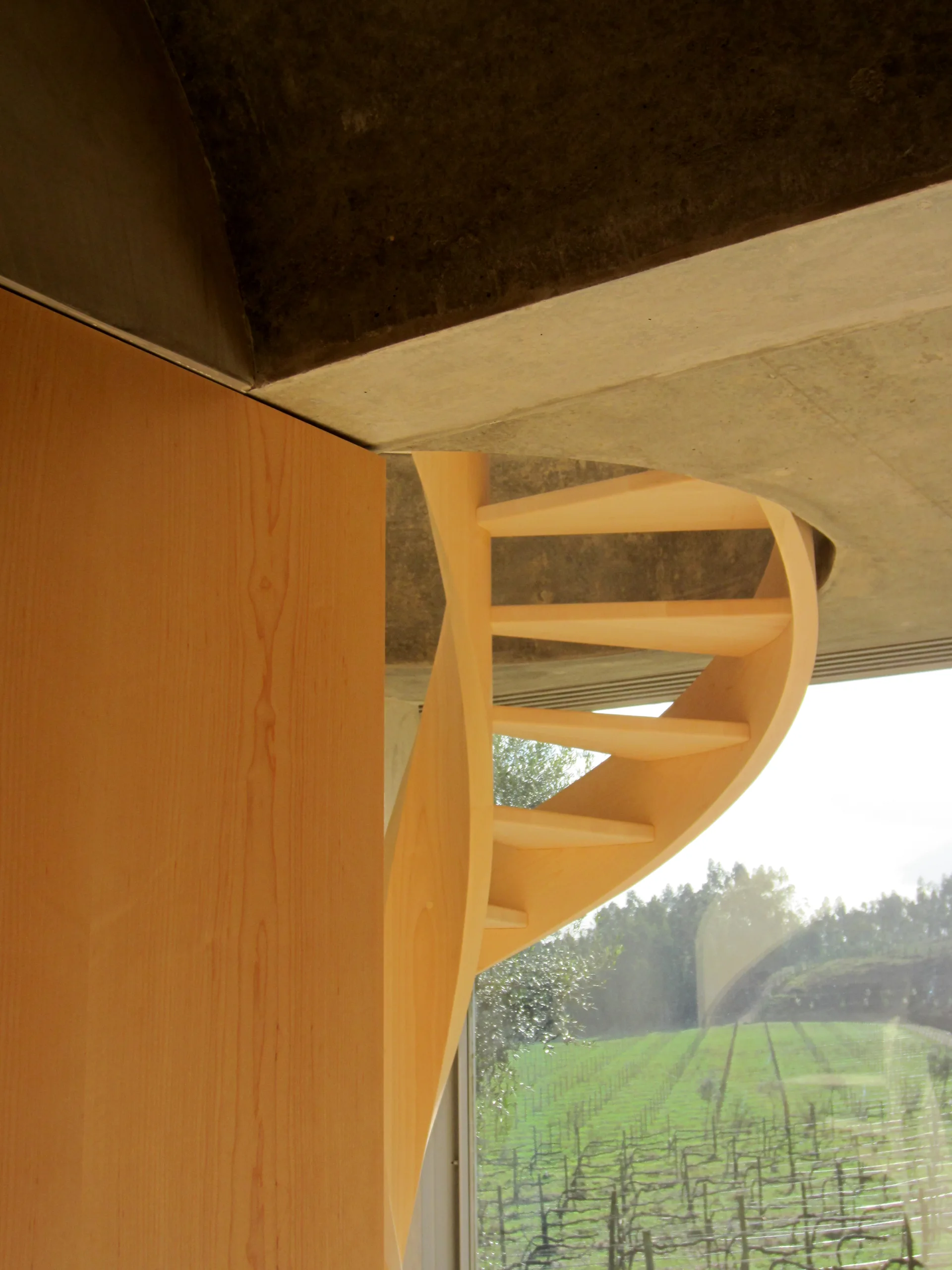 A light wood spiral staircase sits beneath a raw concrete ceiling next to a large window overlooking a vineyard.