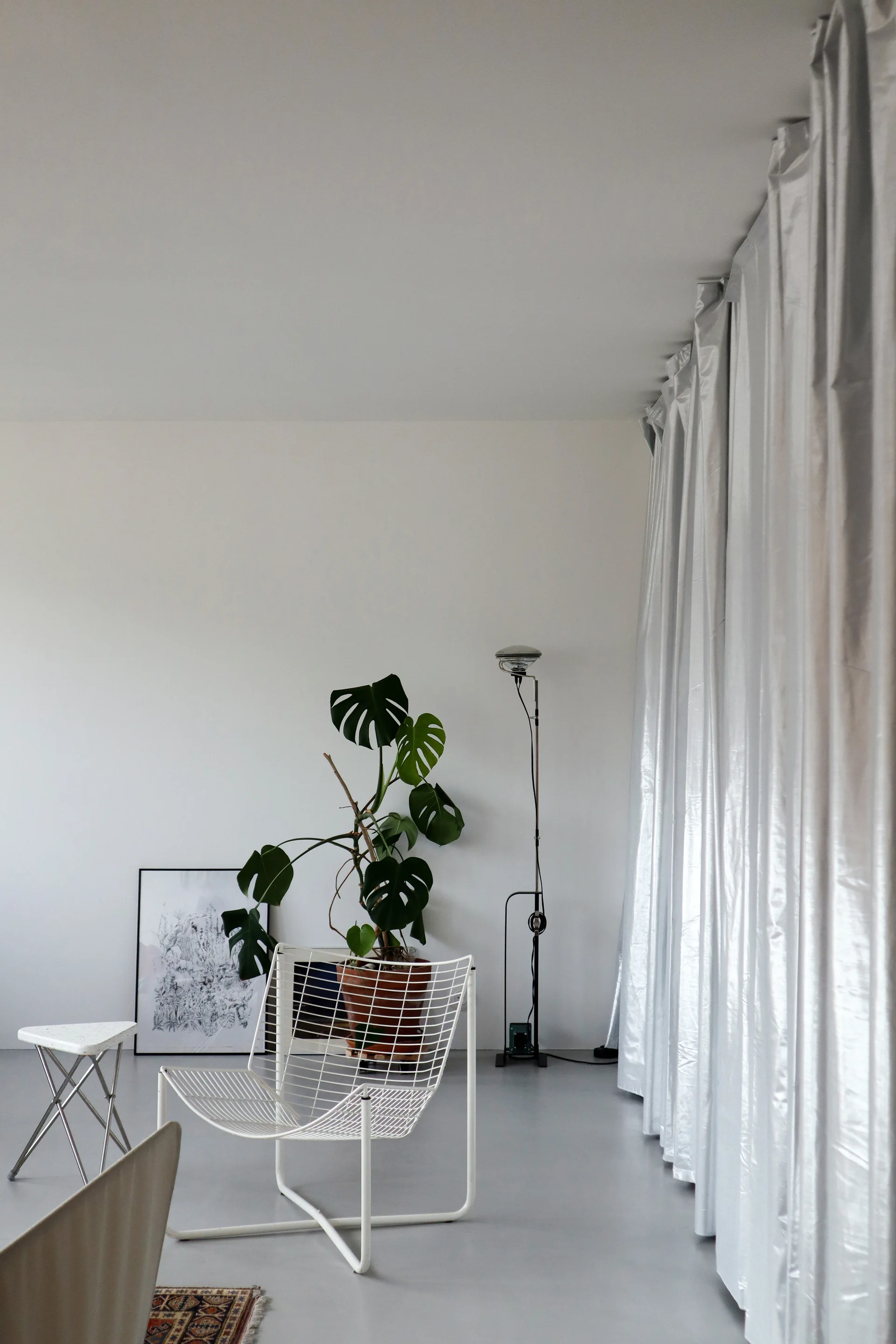 A minimalist room featuring a white wire grid chair, a potted monstera plant, a slim floor lamp, and long silver metallic curtains.