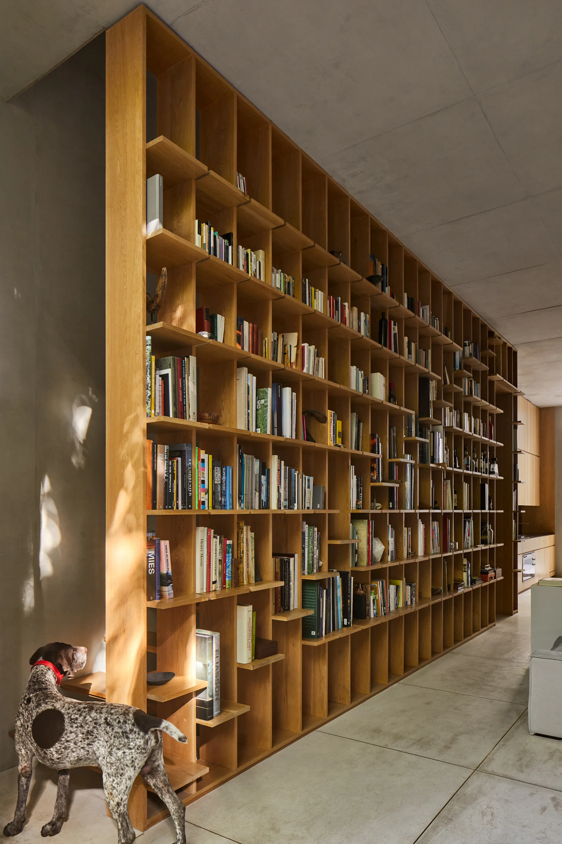 A massive floor-to-ceiling wooden grid bookshelf filled with books sits against a smooth concrete wall on a concrete tile floor.