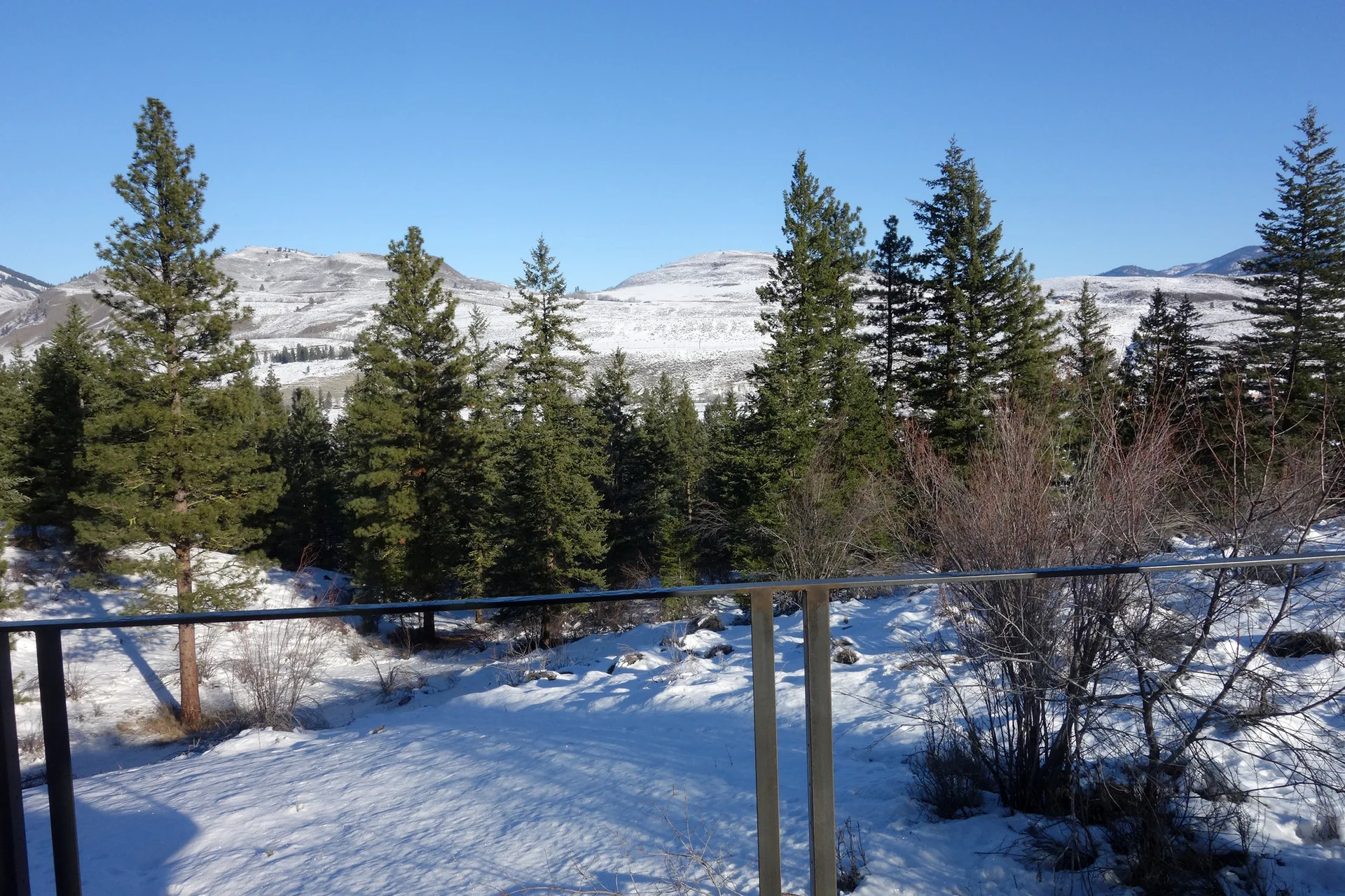 A minimalist metal railing in the foreground overlooks a snowy mountain landscape dotted with tall evergreen trees under a clear blue sky.