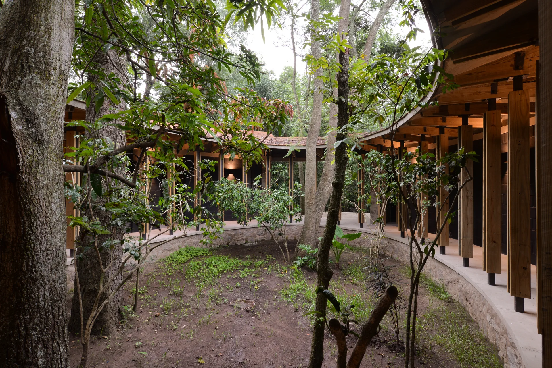 A curved covered walkway with vertical wooden columns and exposed beams wraps around a central forest courtyard with mature trees and a stone border.
