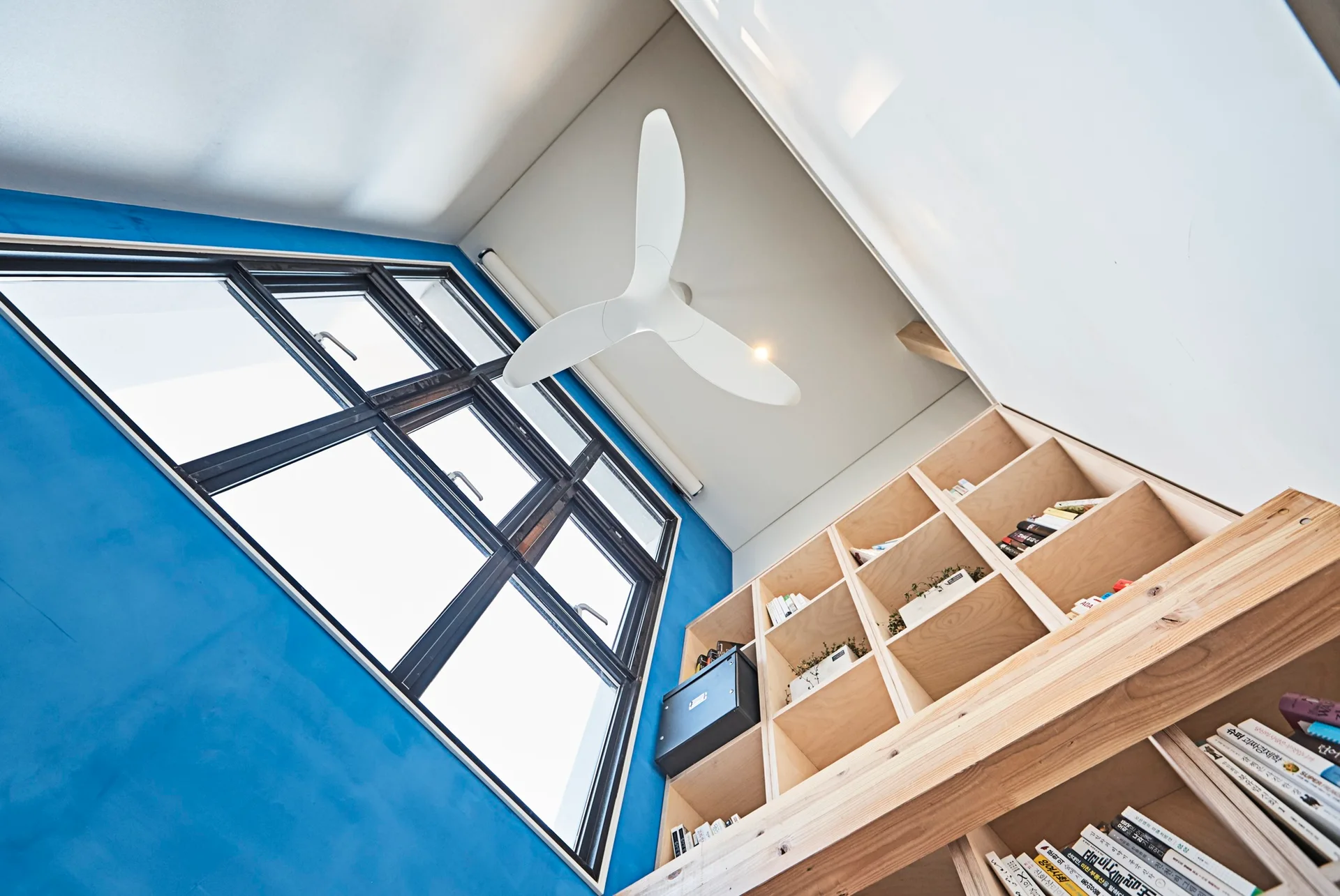 A low-angle view of a library corner with a bright blue wall, a black-framed window, a white ceiling fan, and built-in wooden bookshelves.