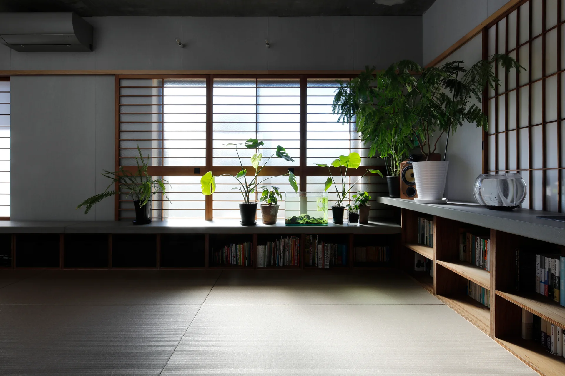 A minimalist room features tatami mat flooring, a long built-in wooden ledge with potted plants, and light filtering through sliding shoji screens.