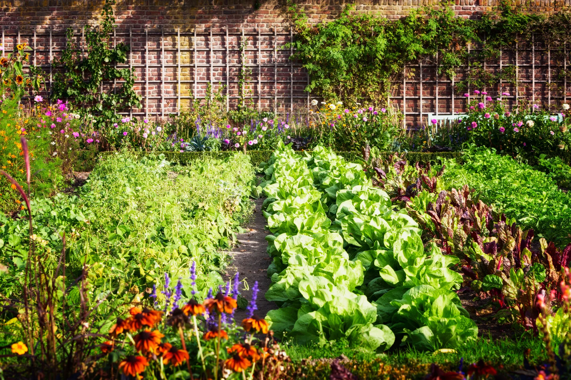 Lush vegetable garden rows lead toward a brick wall lined with wooden trellises, climbing vines, and colorful flower borders under natural light.
