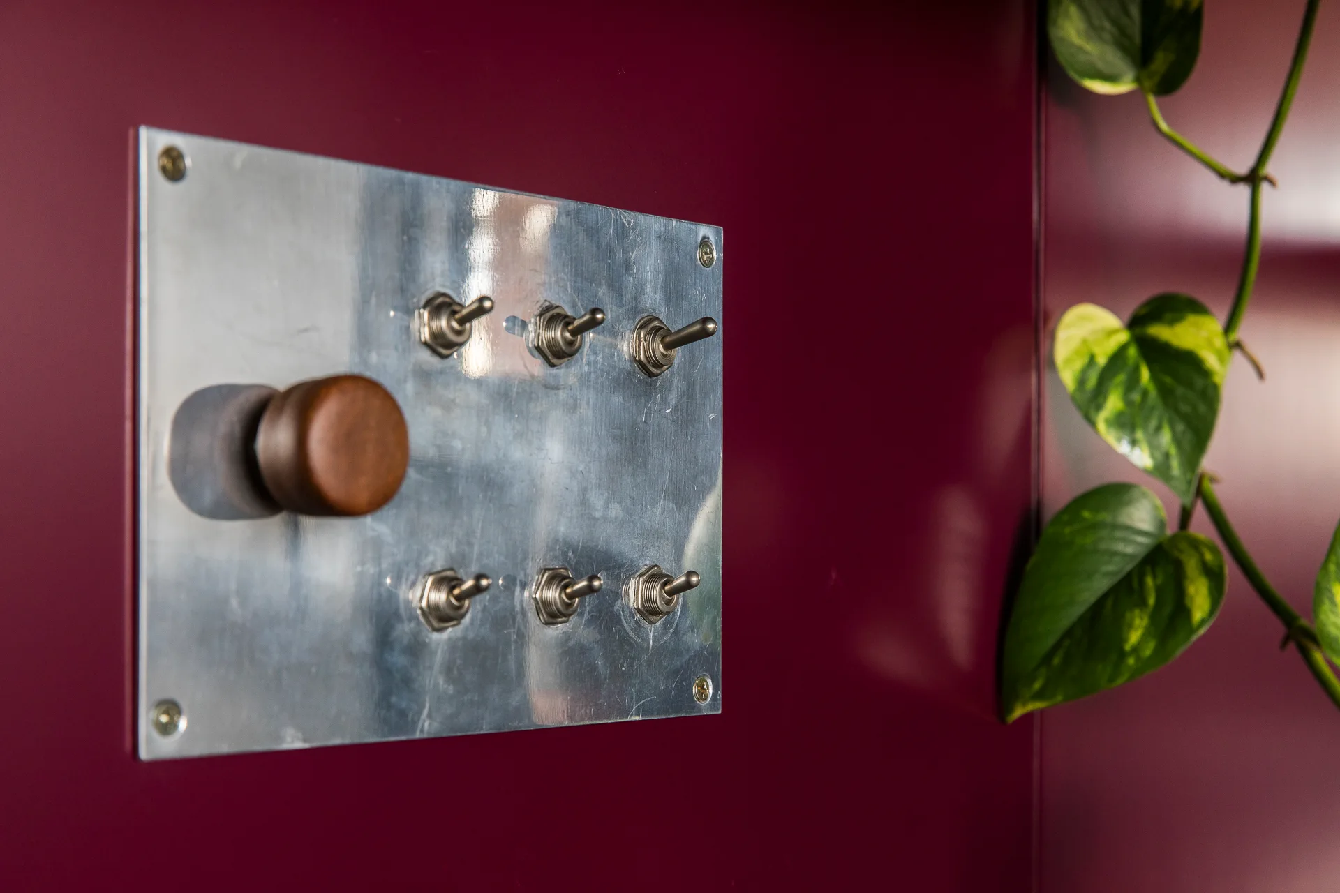 A brushed metal switch panel with toggle switches and a wooden knob is mounted on a burgundy wall next to a trailing green plant.