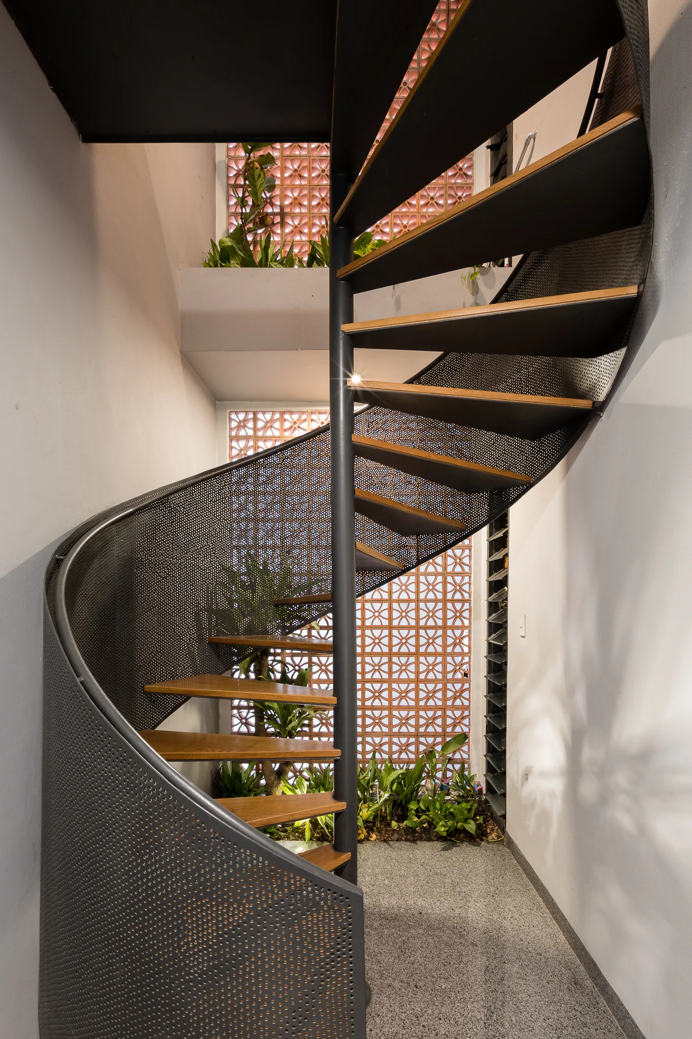 A black metal spiral staircase with wood treads ascends past a white wall and a decorative terra cotta breeze block wall with indoor plants.