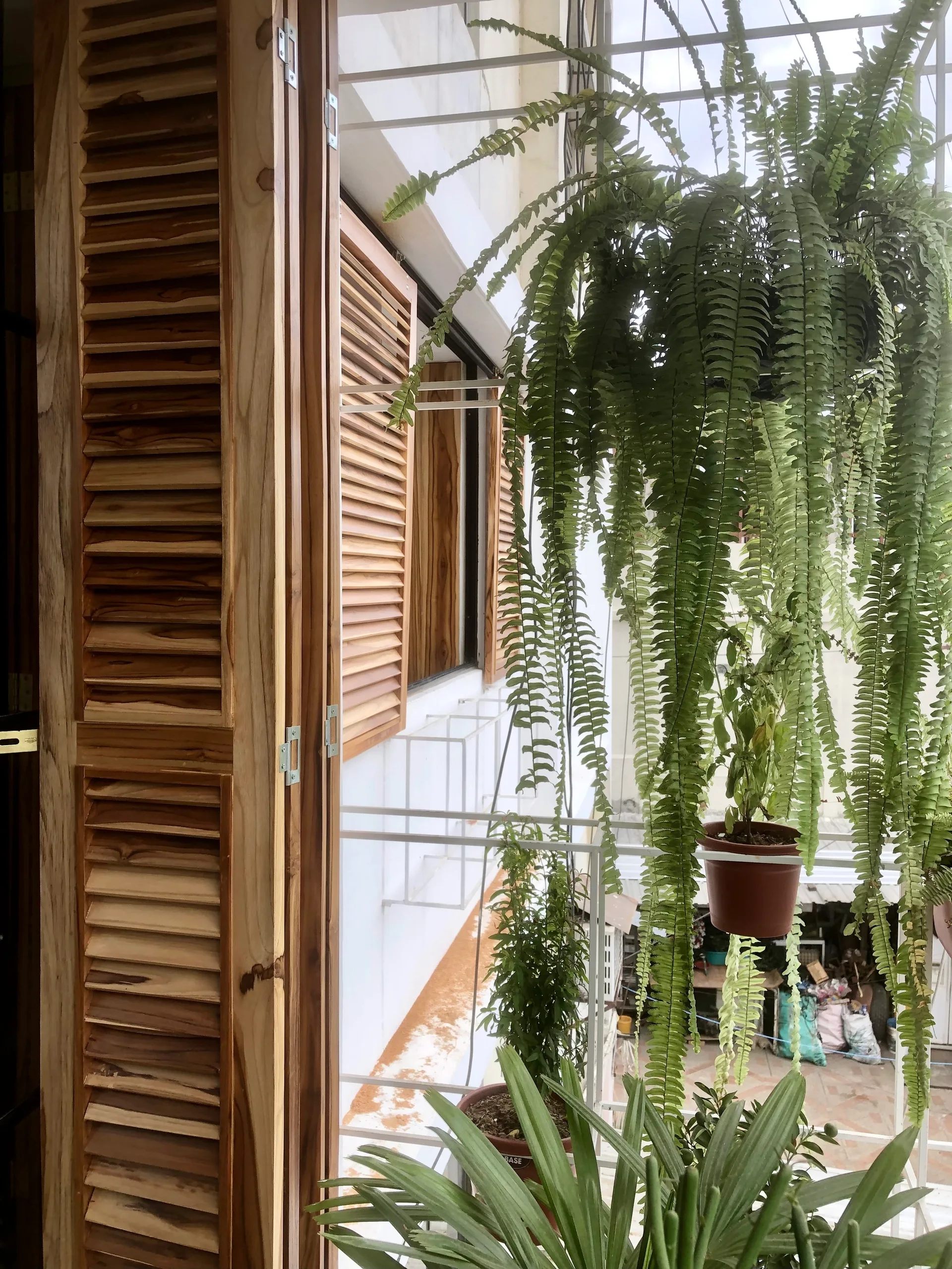 Folding wood shutters frame an outdoor balcony with a white metal railing and hanging potted ferns.