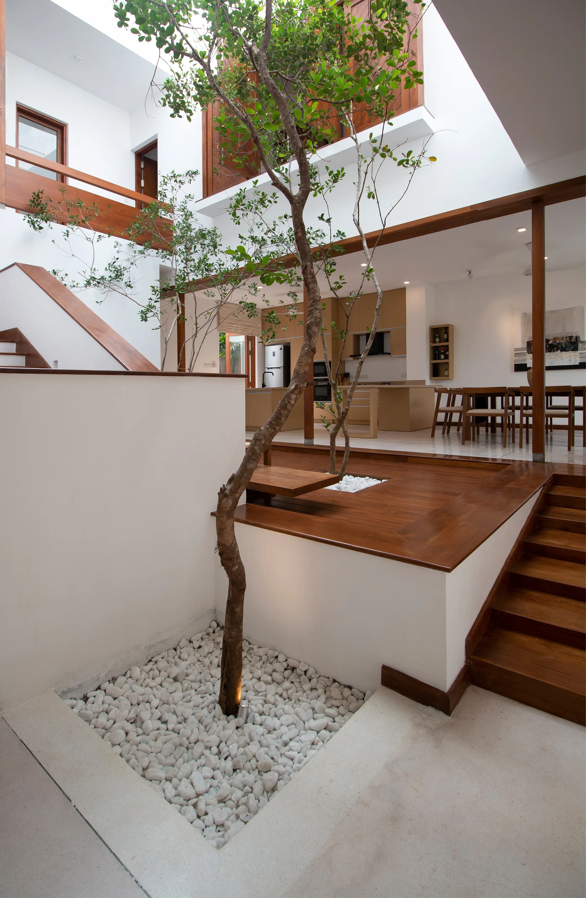A modern multi-level interior featuring a central courtyard with a living tree planted in white pebbles next to a wooden staircase.