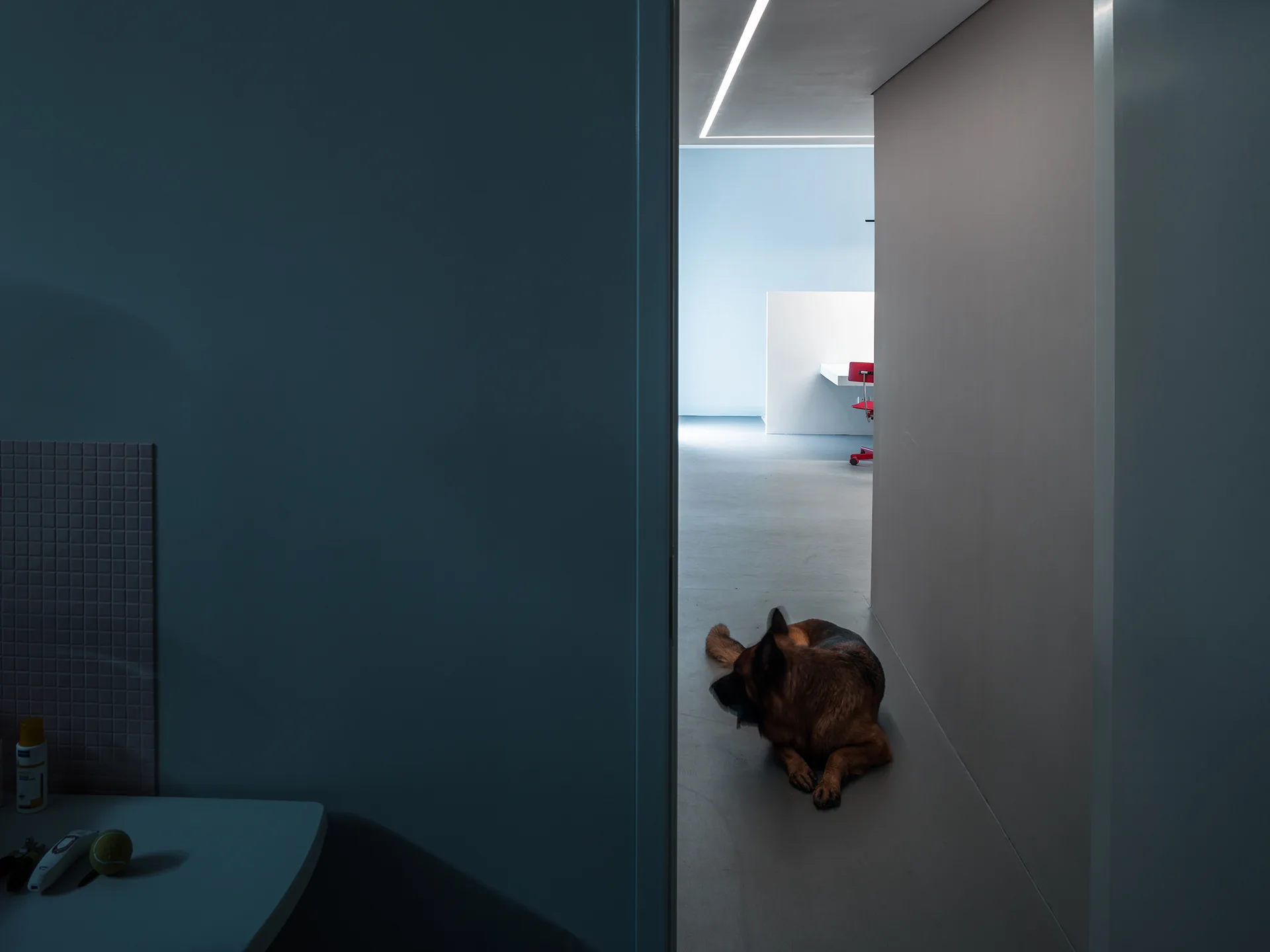 The Dog House, Atelier About Architecture, Interior