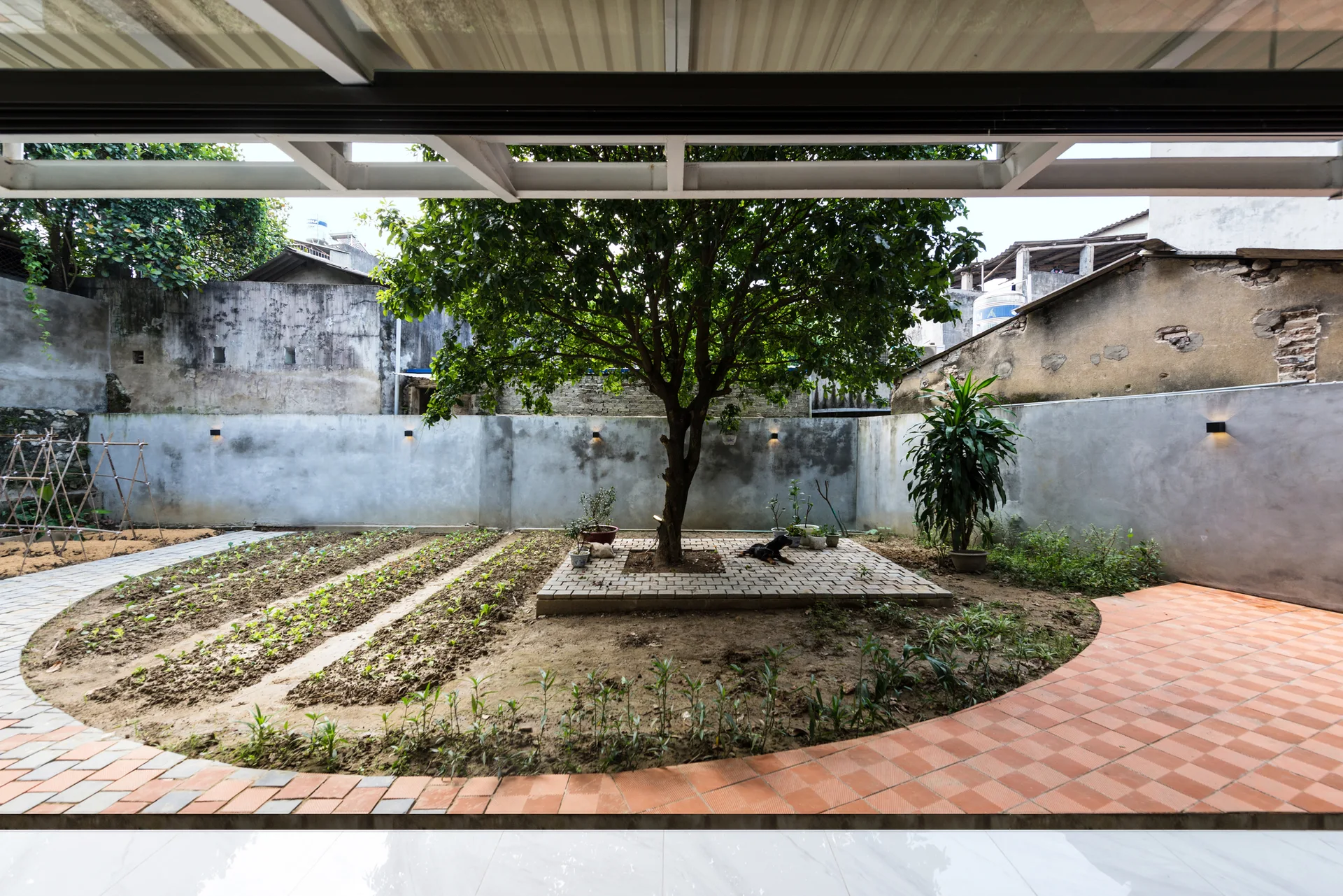 A courtyard garden featuring a curved terracotta tile pathway, vegetable garden rows, a central tree, and grey concrete walls with sconces.