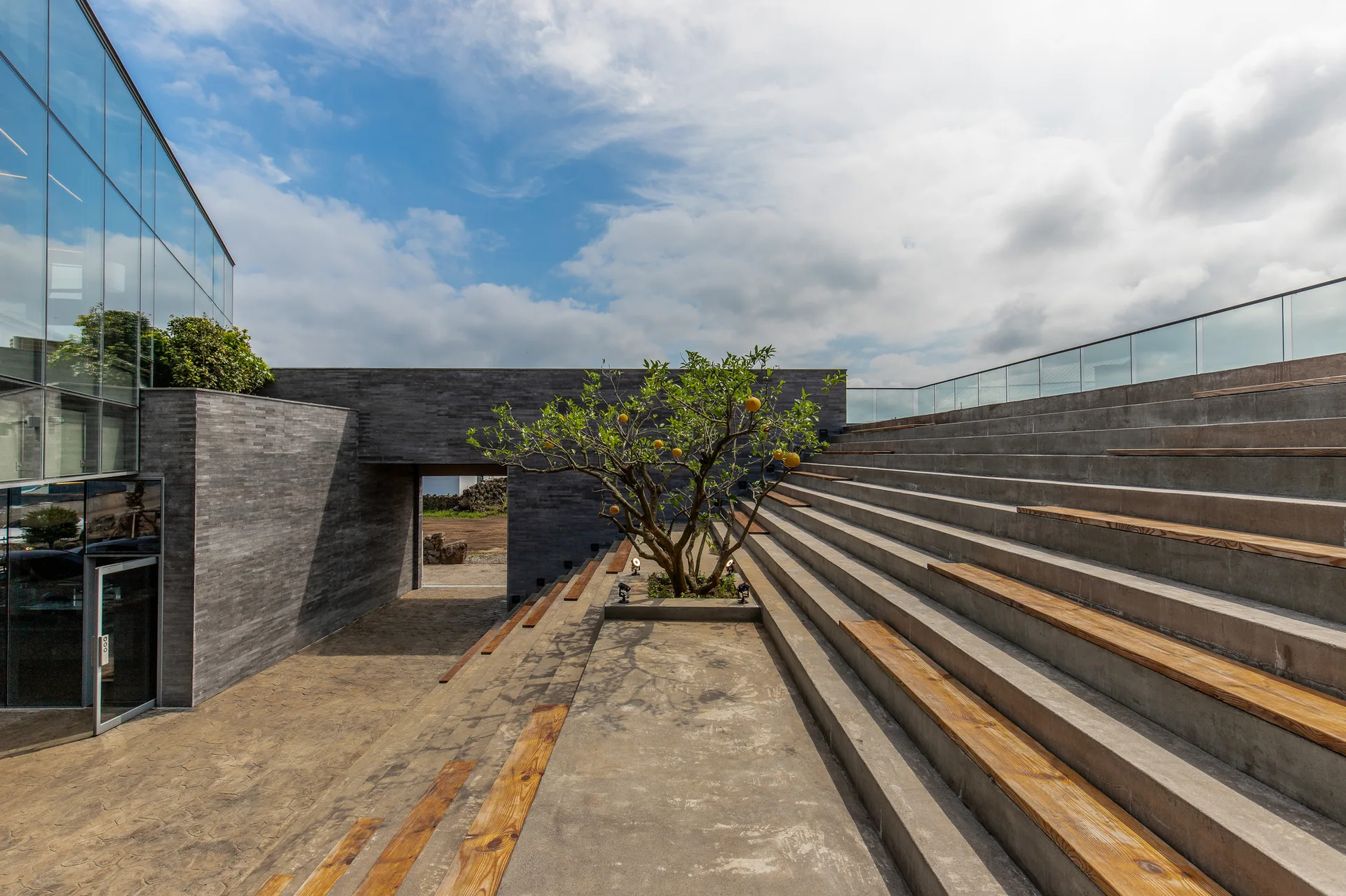 Wide concrete tiered seating with inset wood benches curves next to a modern glass building and features a central tree.